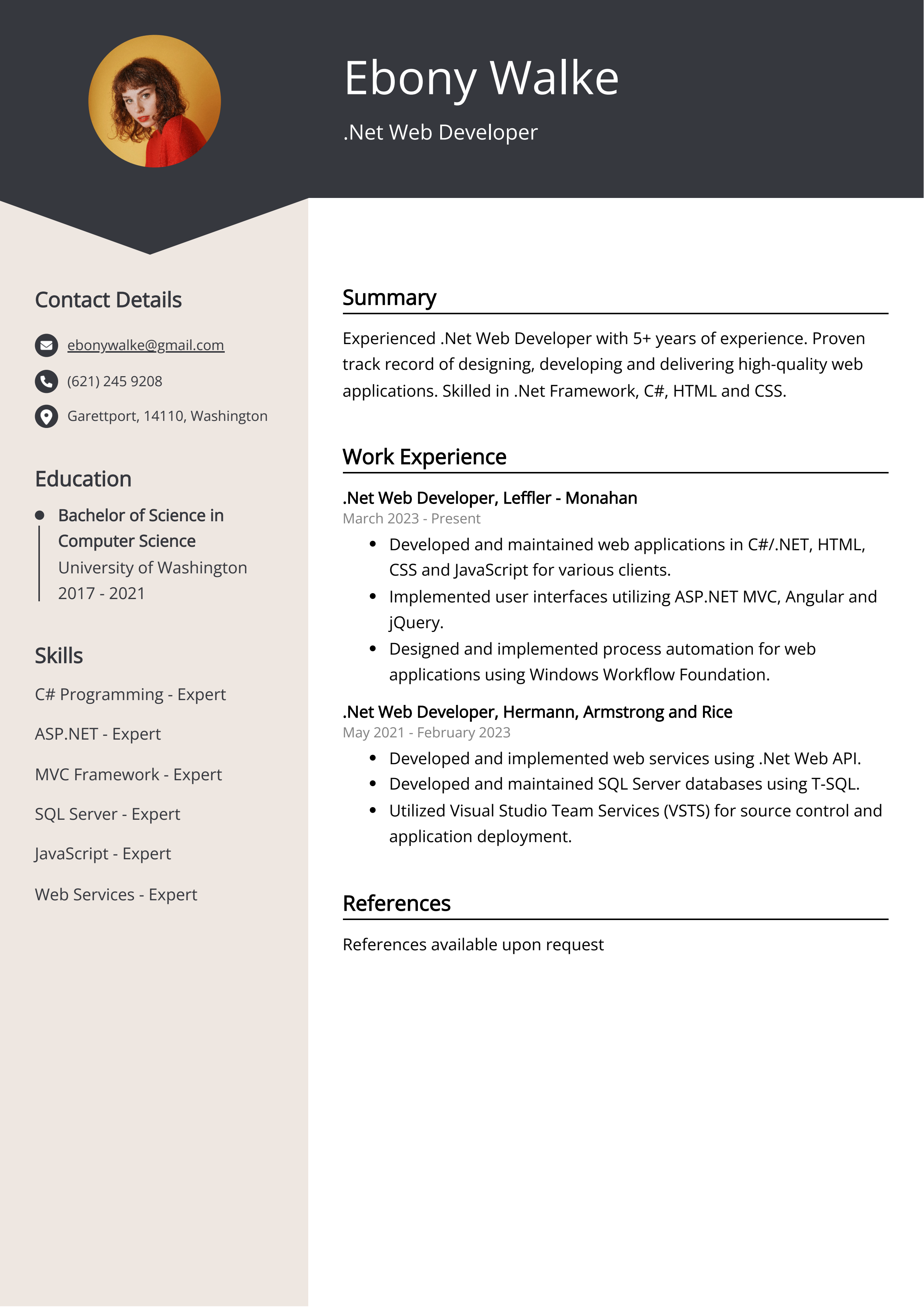 .Net Web Developer CV Example