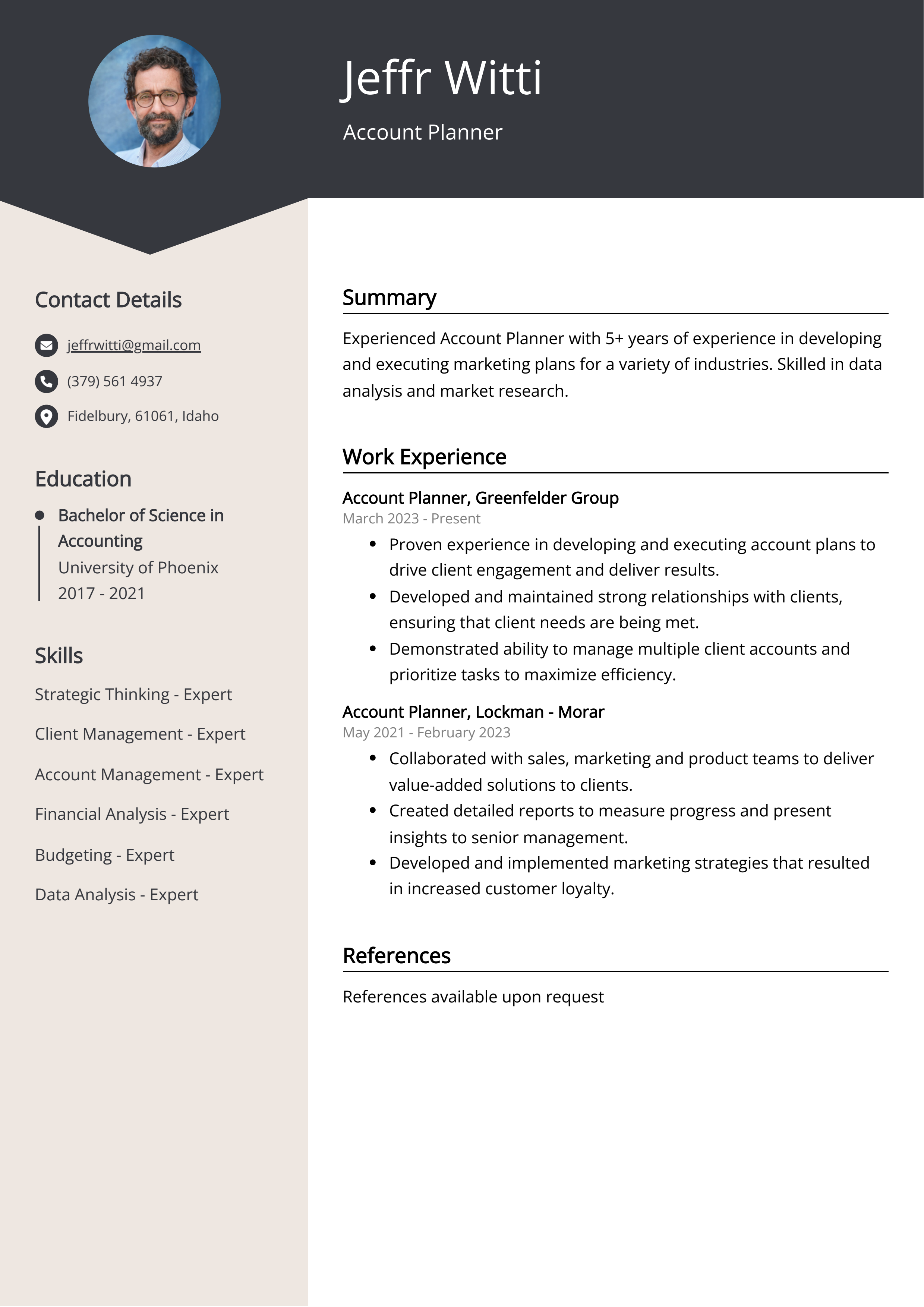 Account Planner CV Example