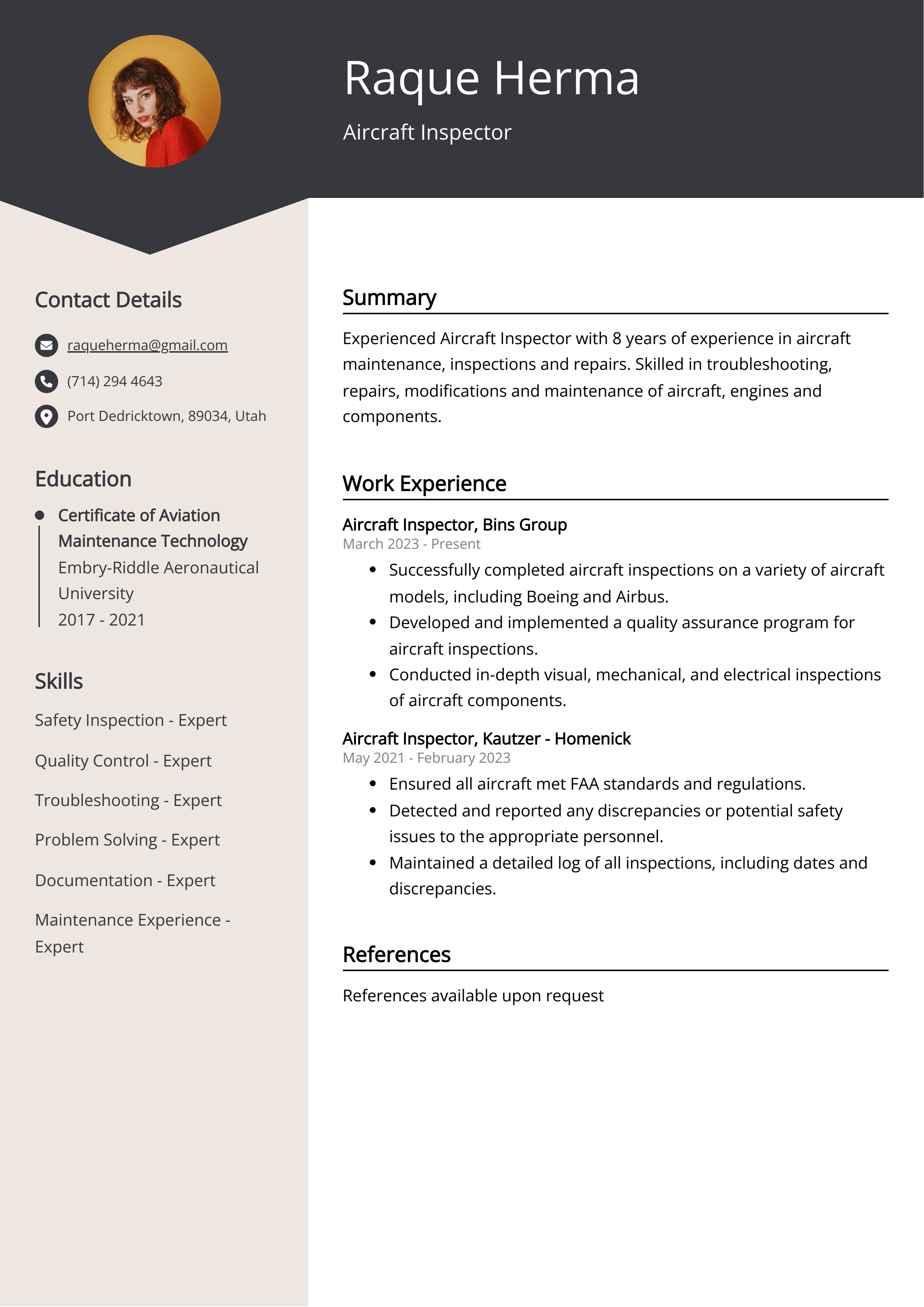 Aircraft Inspector CV Example