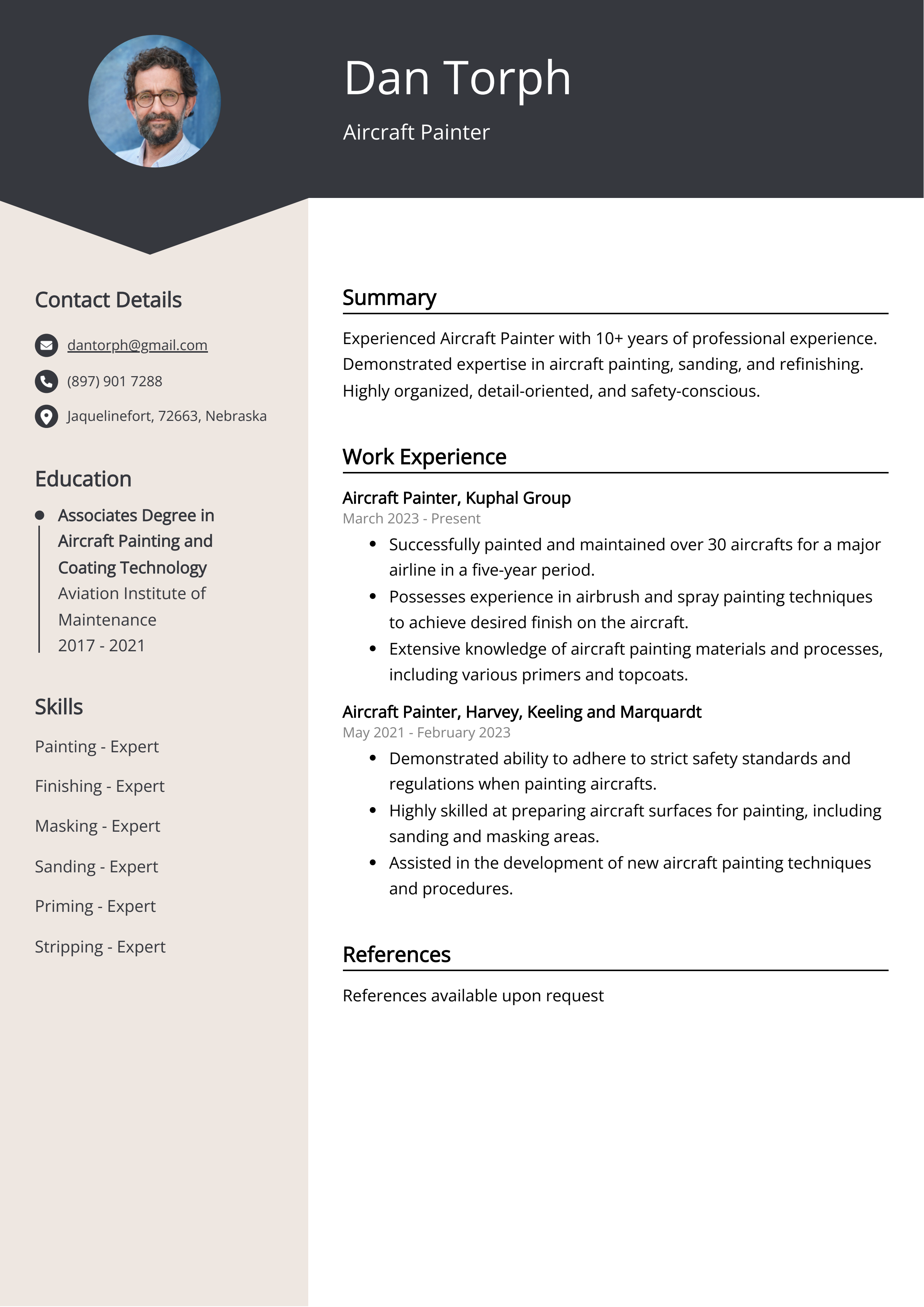 Aircraft Painter CV Example