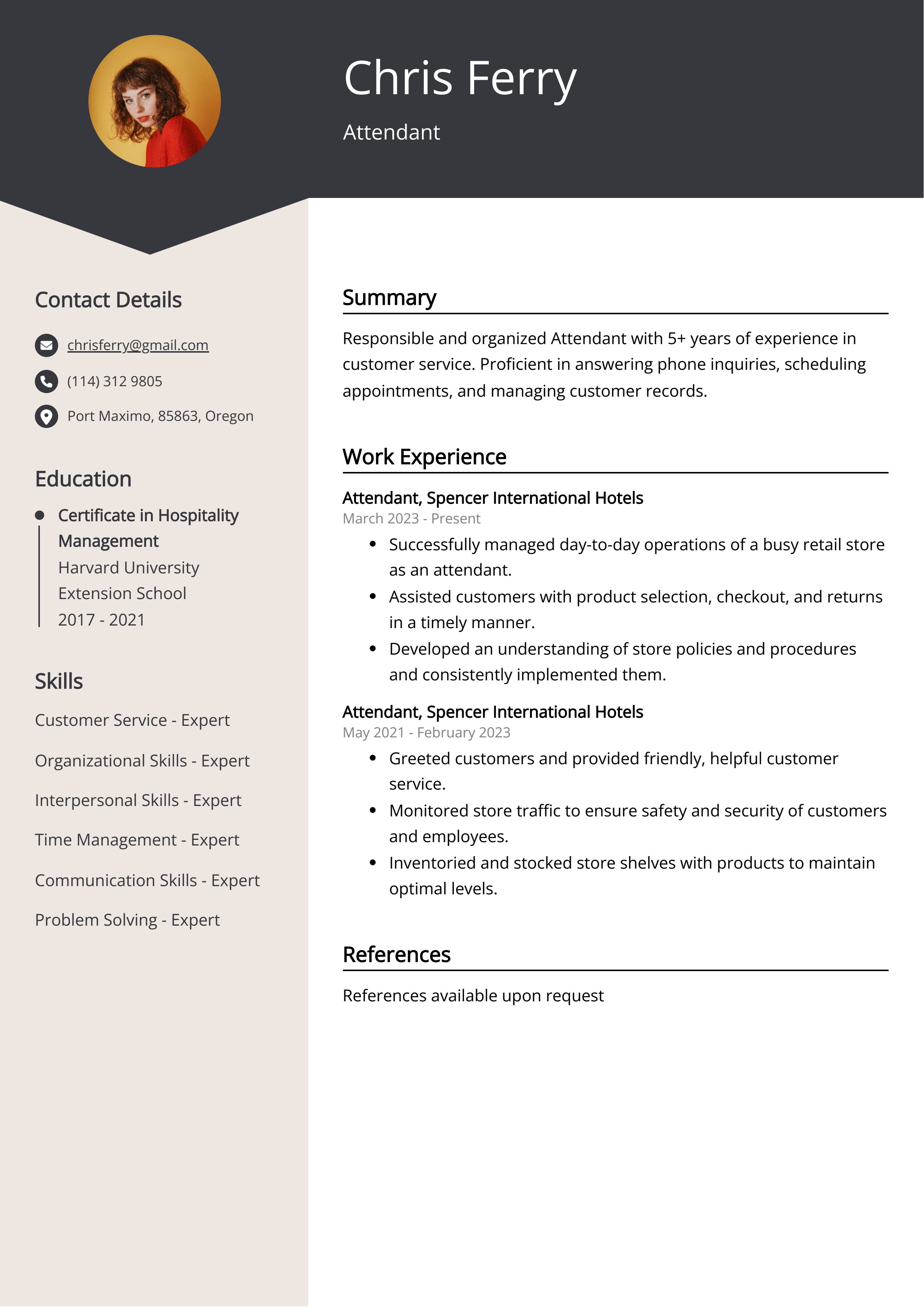 Attendant CV Example