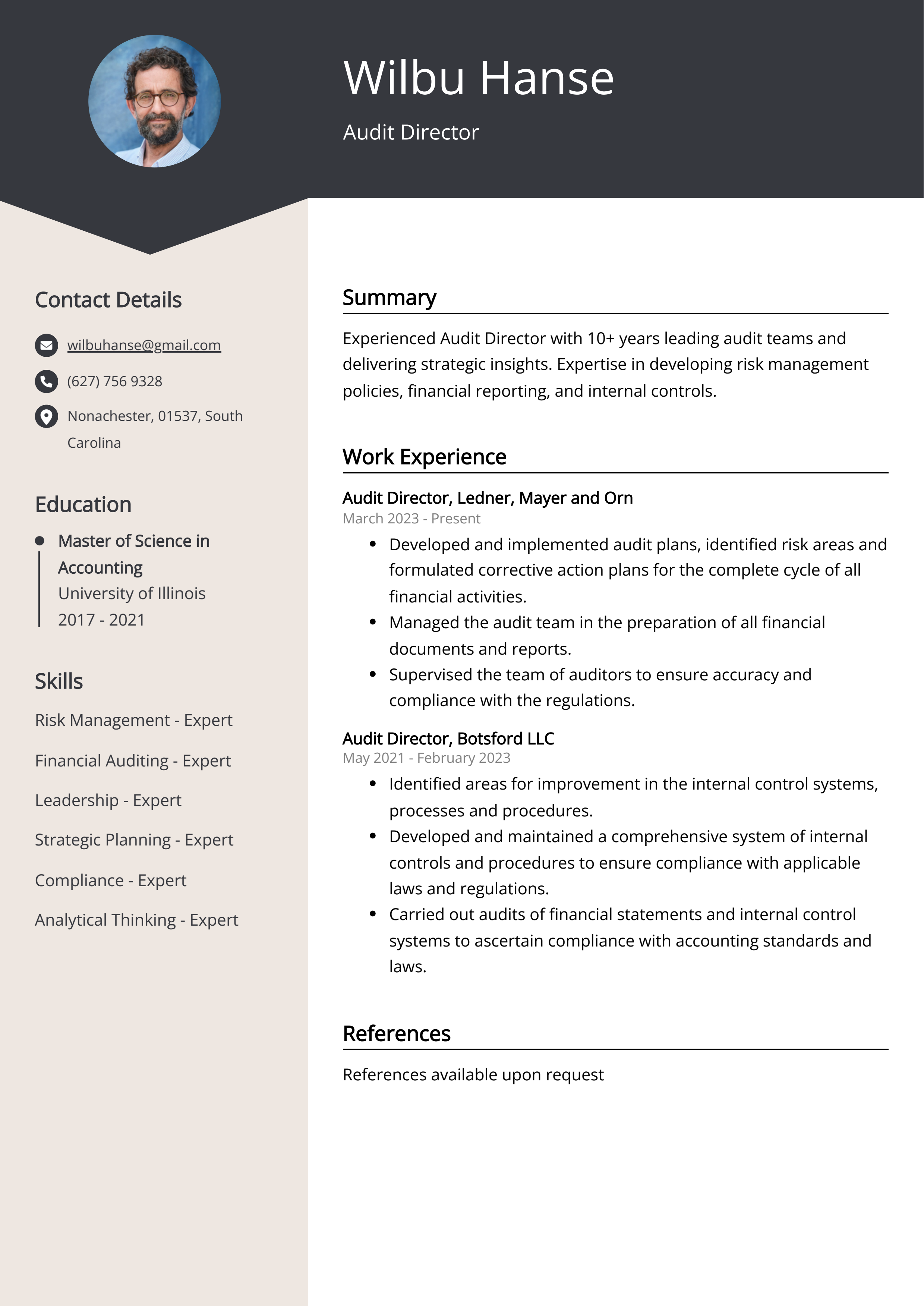 Audit Director CV Example