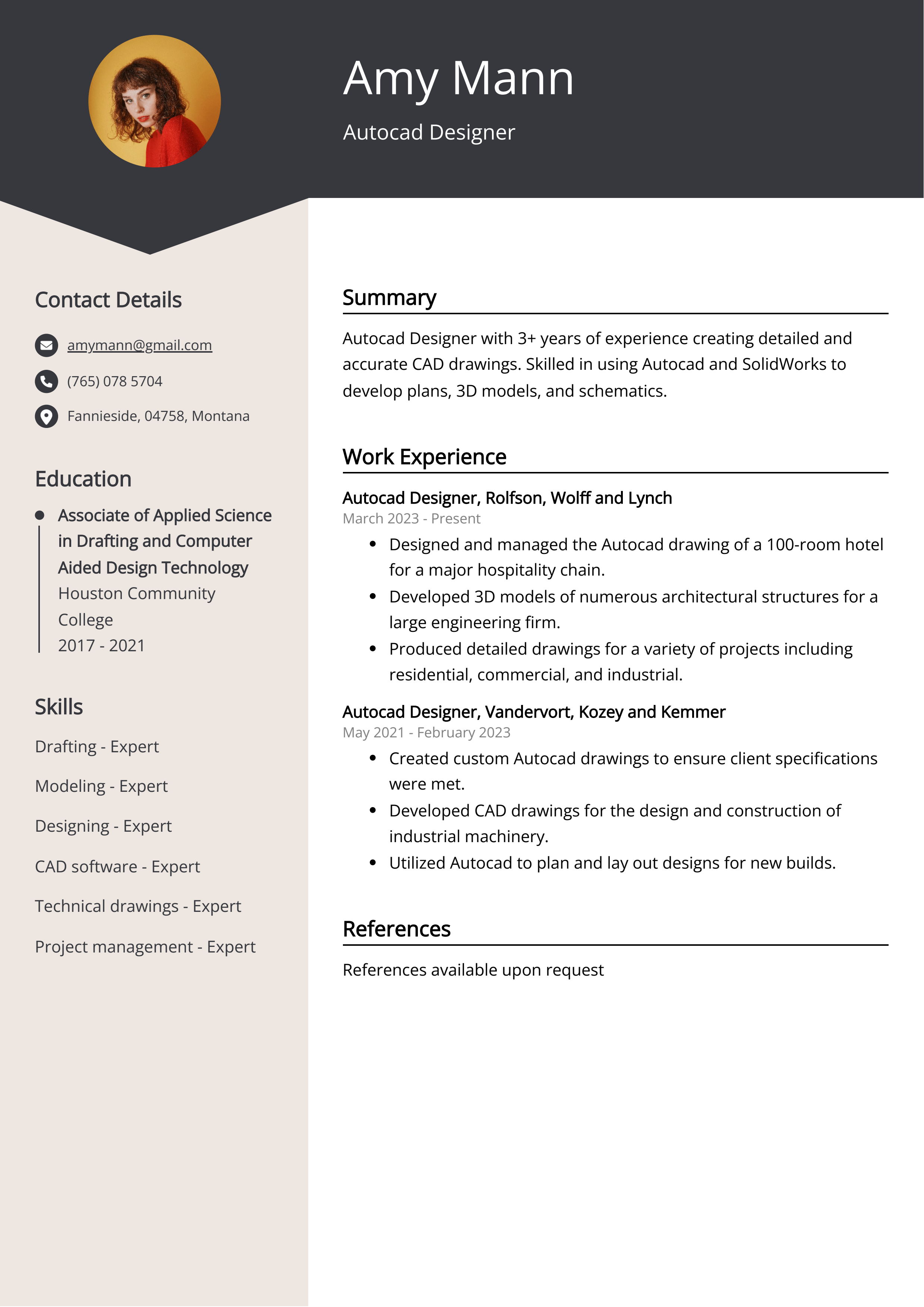 Autocad Designer CV Example