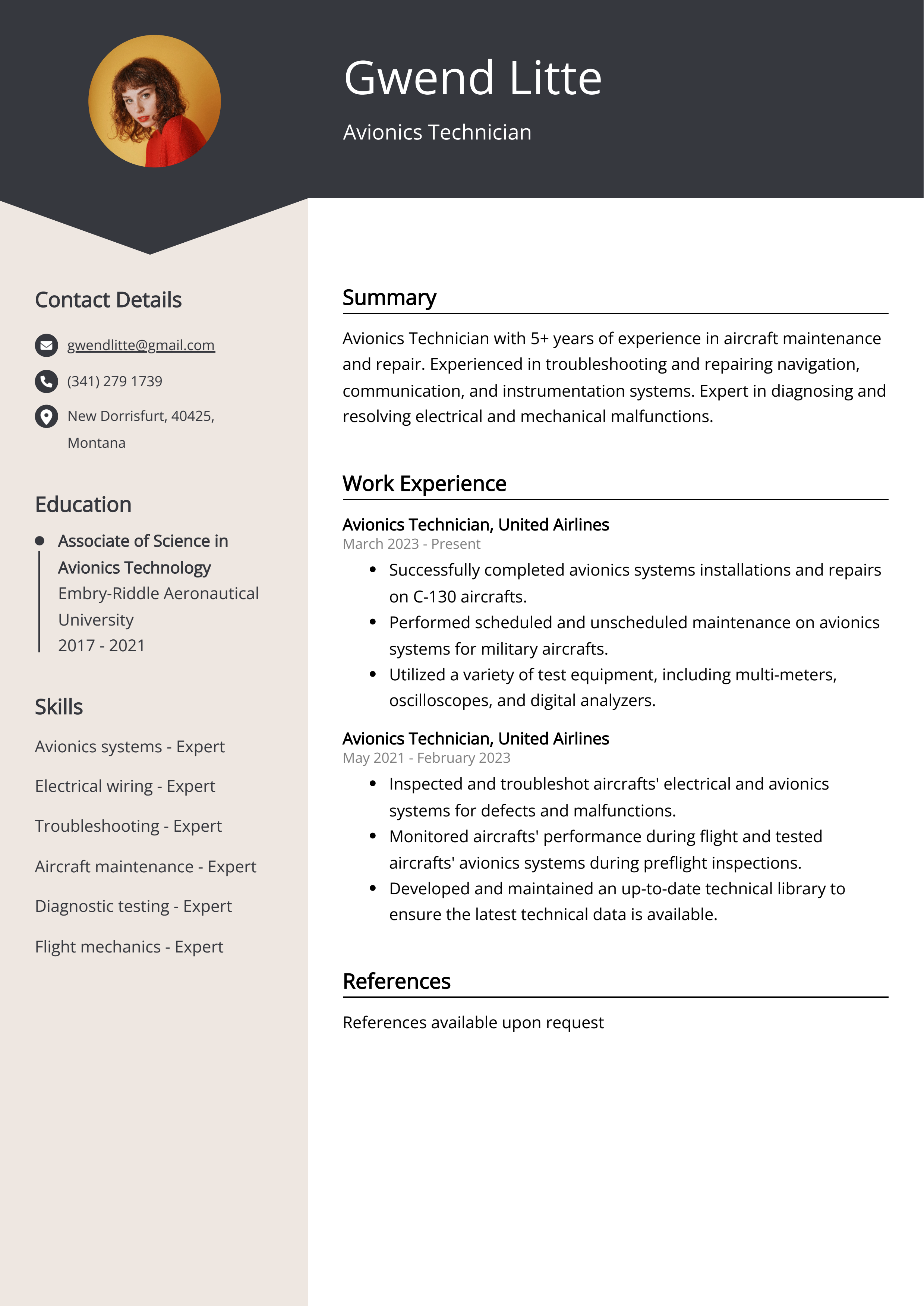 Avionics Technician CV Example