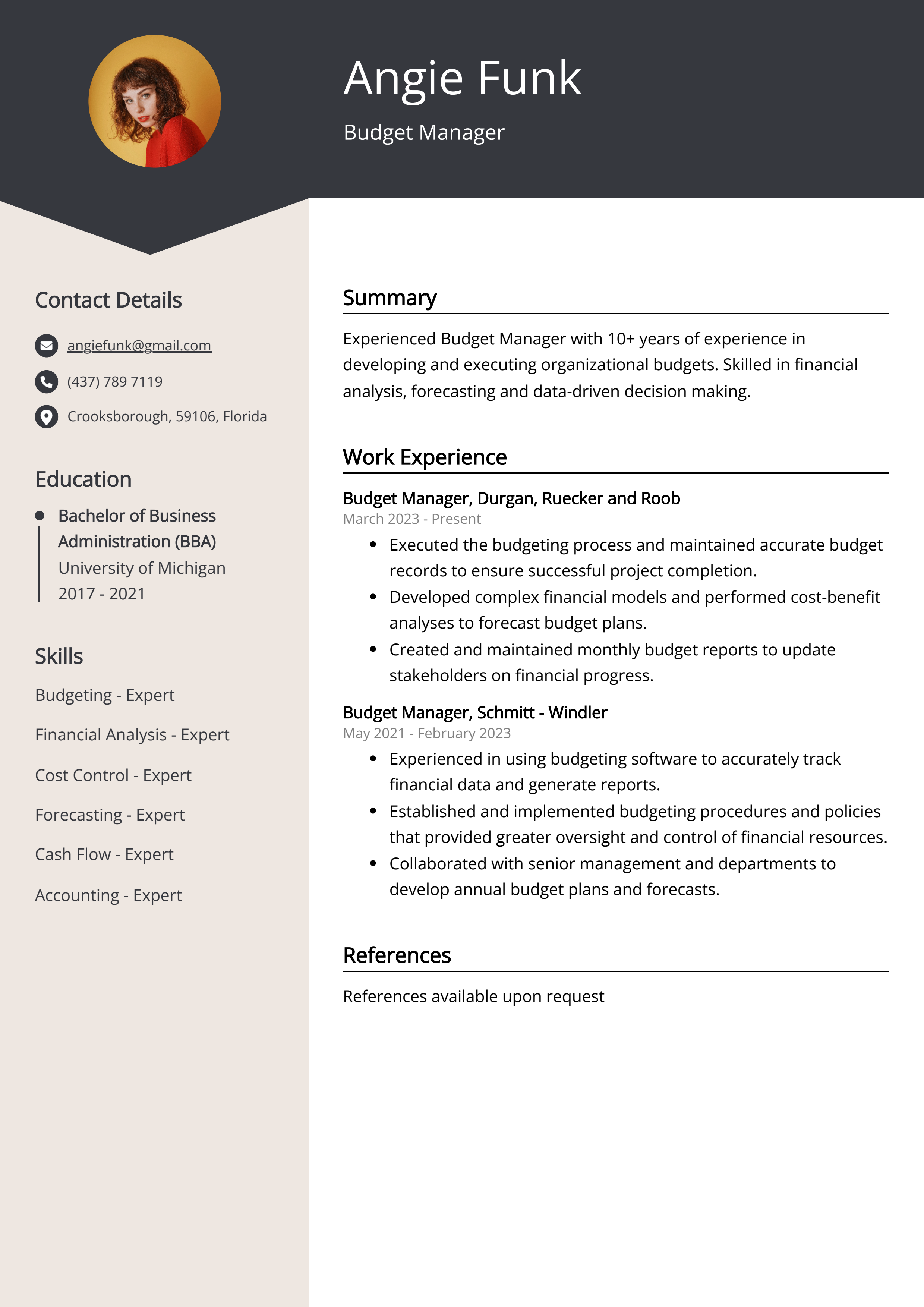 Budget Manager CV Example