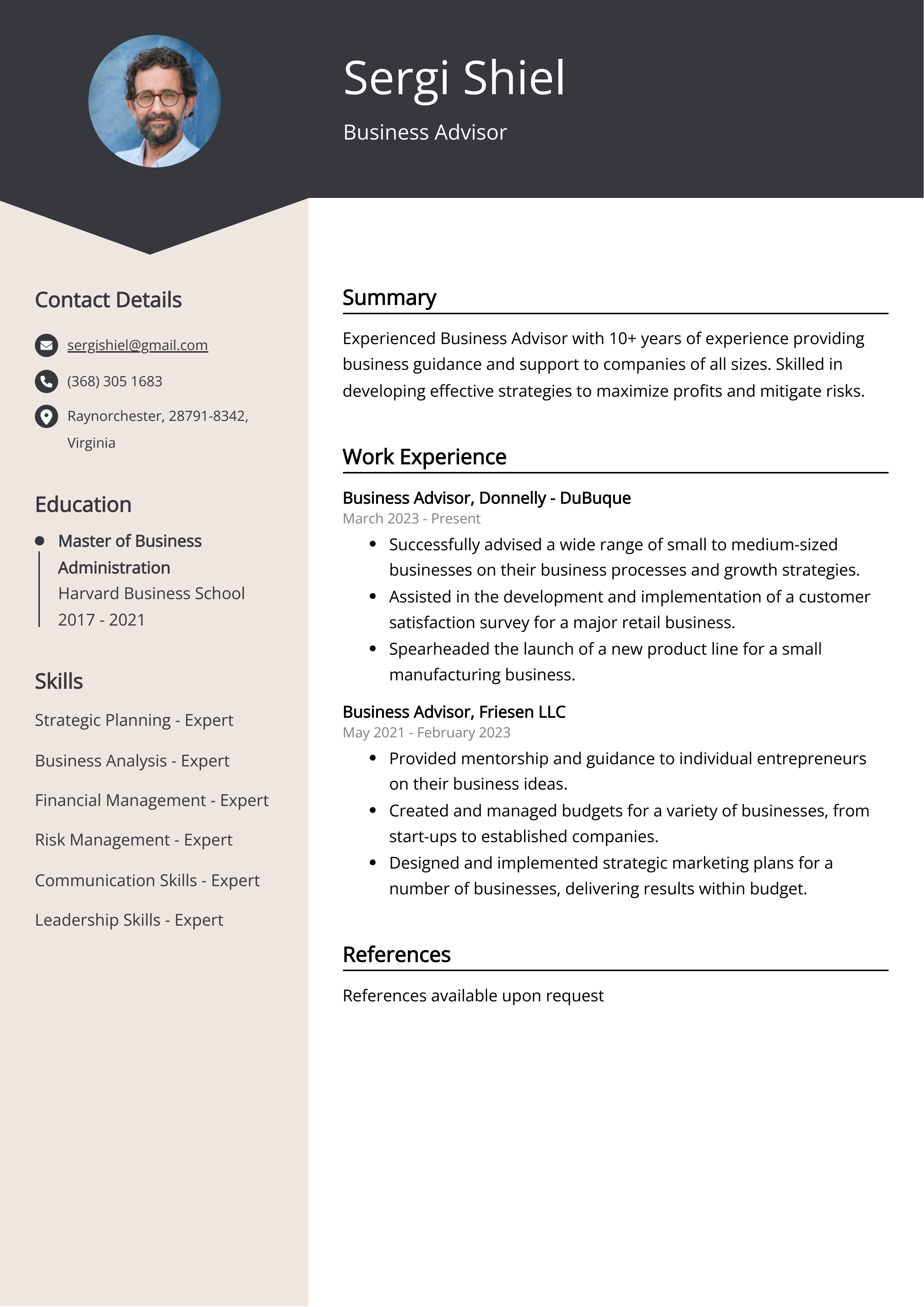 Business Advisor CV Example