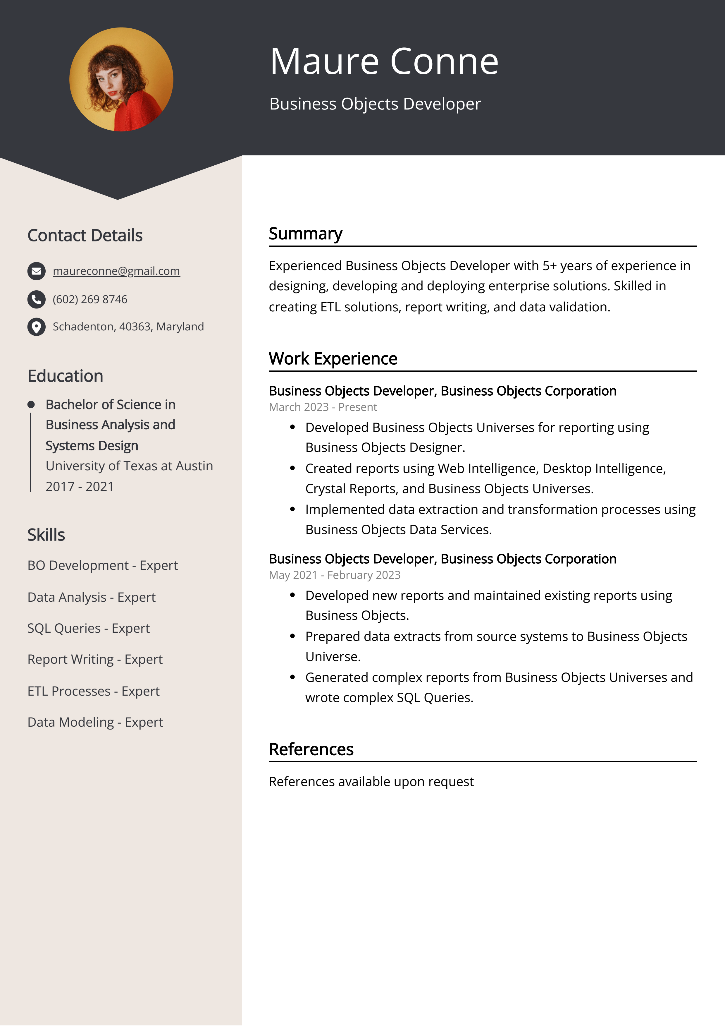 Business Objects Developer CV Example