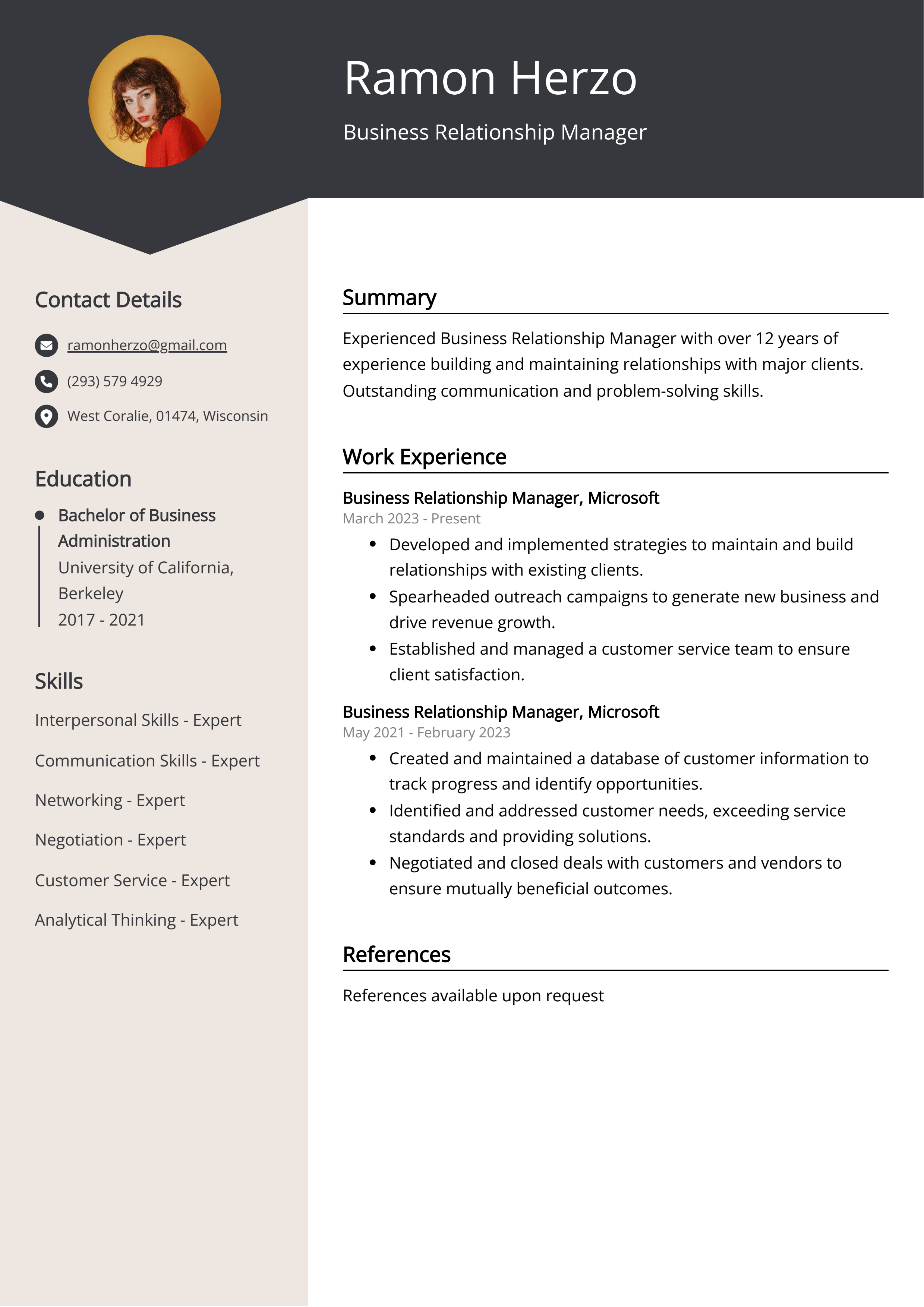 Business Relationship Manager CV Example