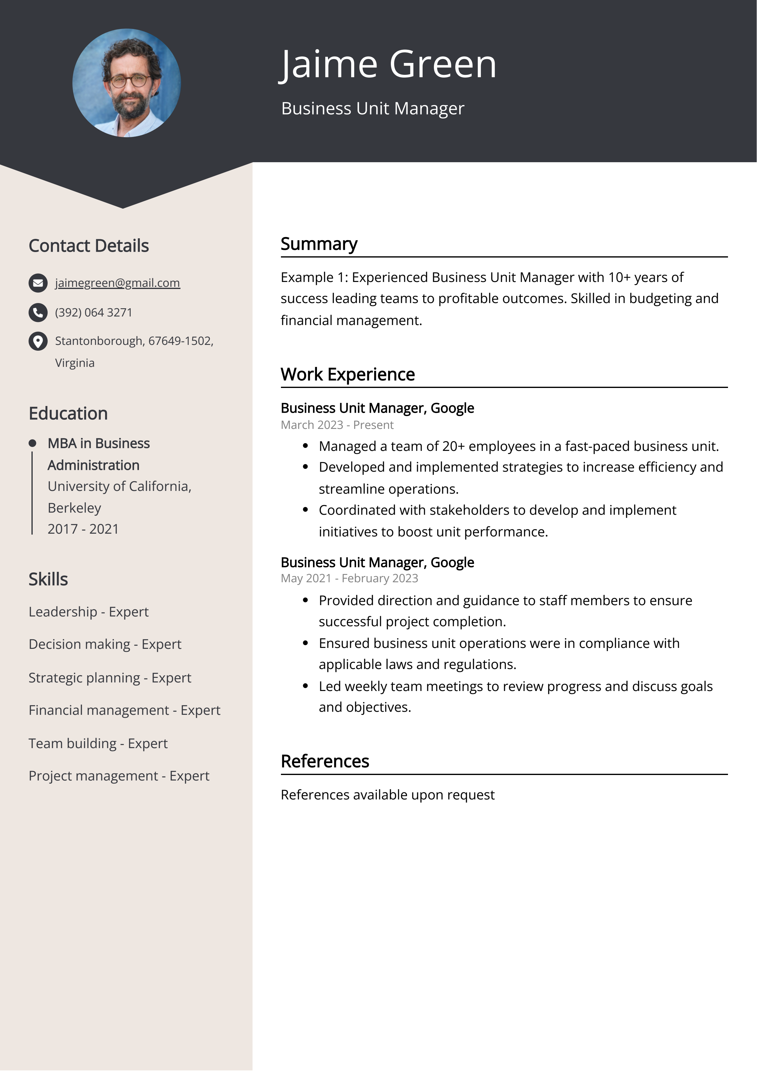 Business Unit Manager CV Example