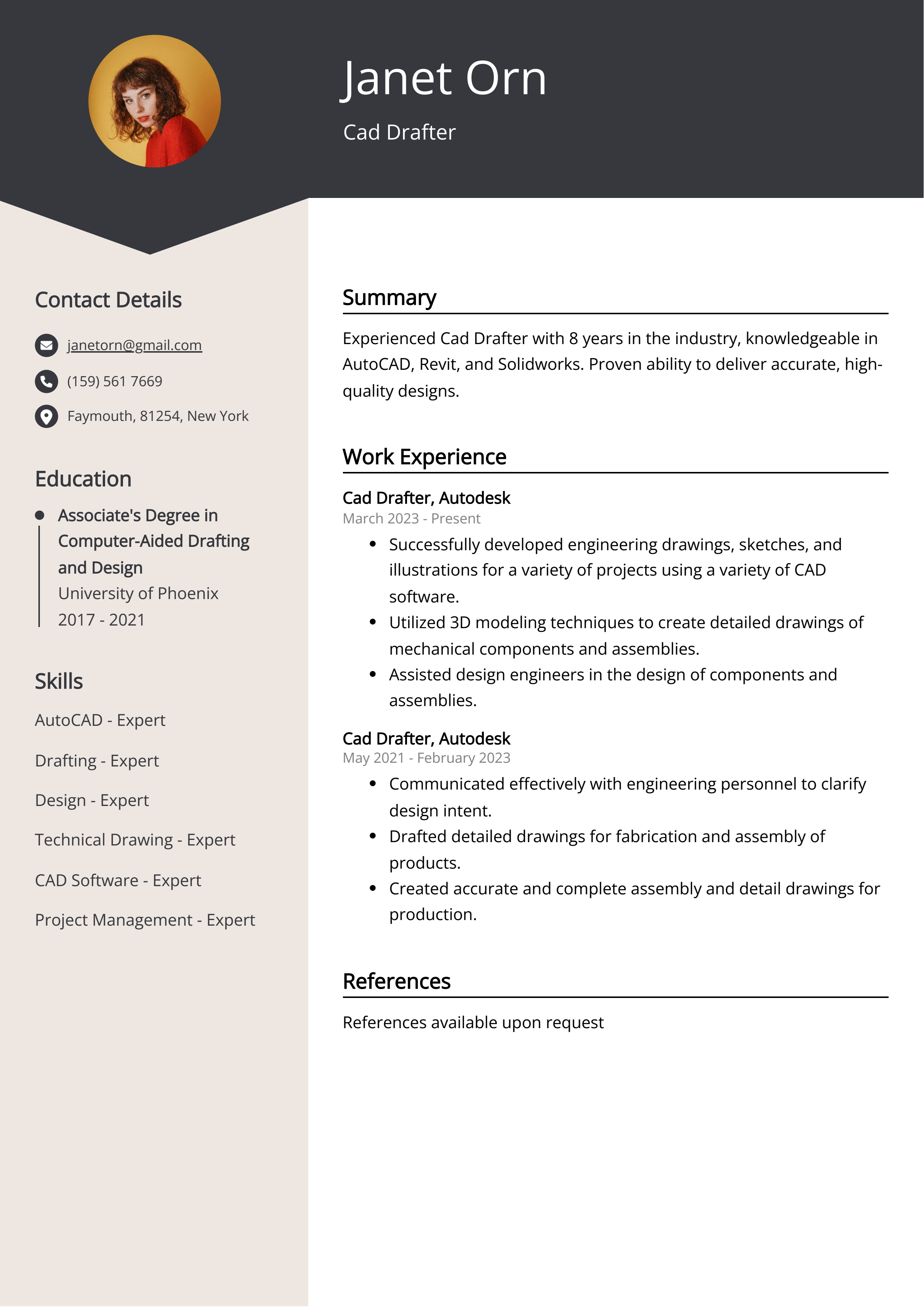 Cad Drafter CV Example