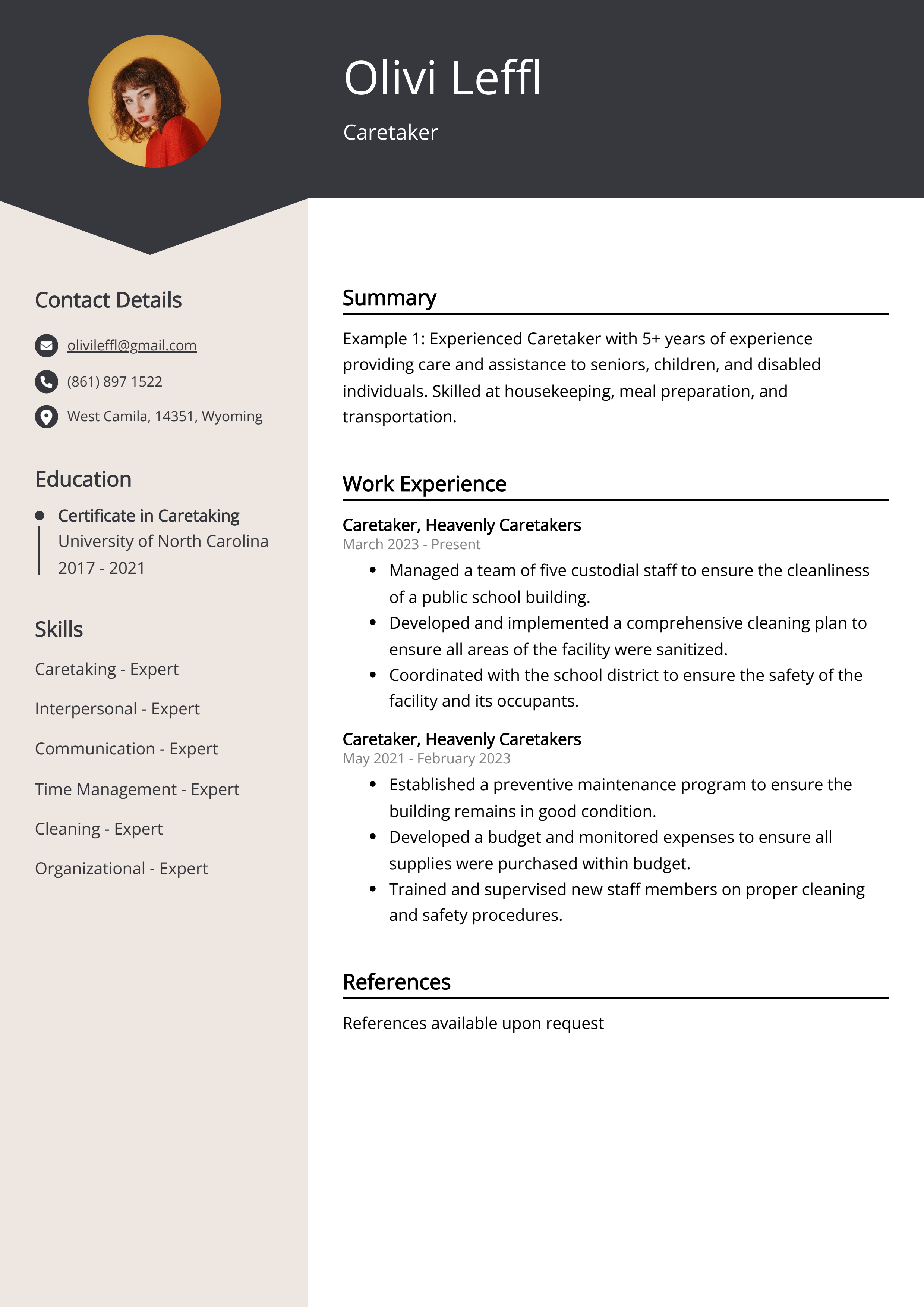 Caretaker CV Example