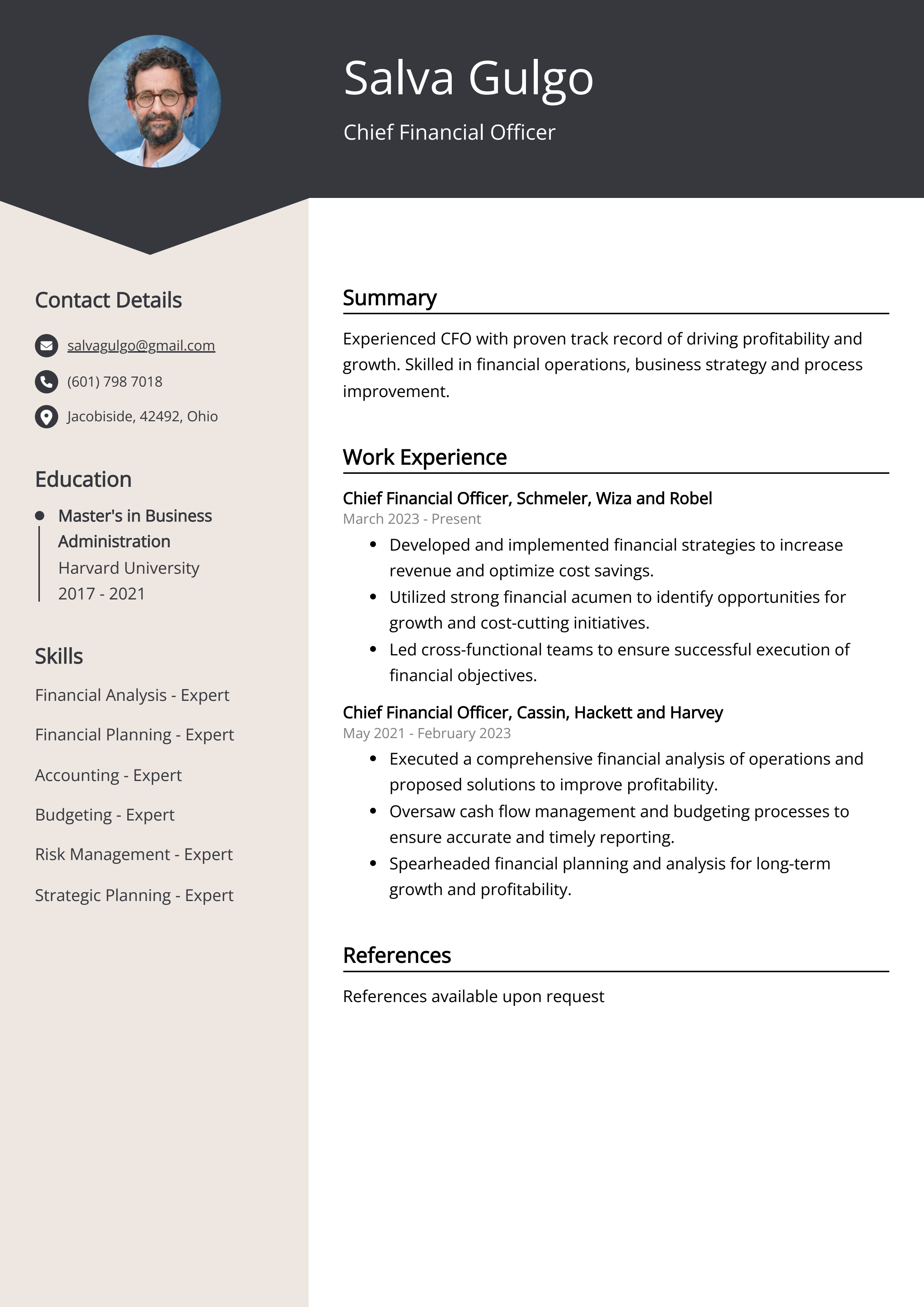 Chief Financial Officer CV Example