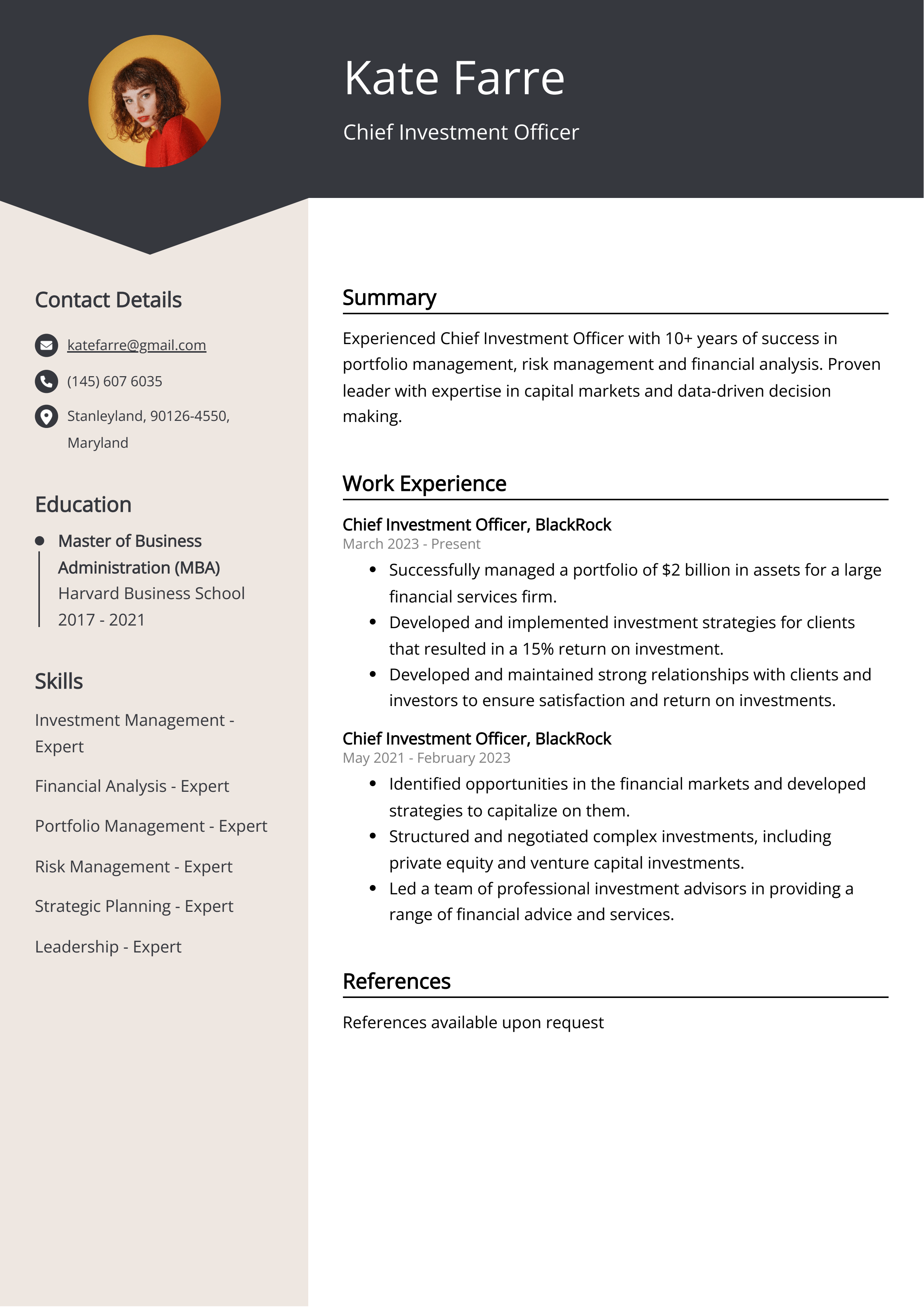 Chief Investment Officer CV Example