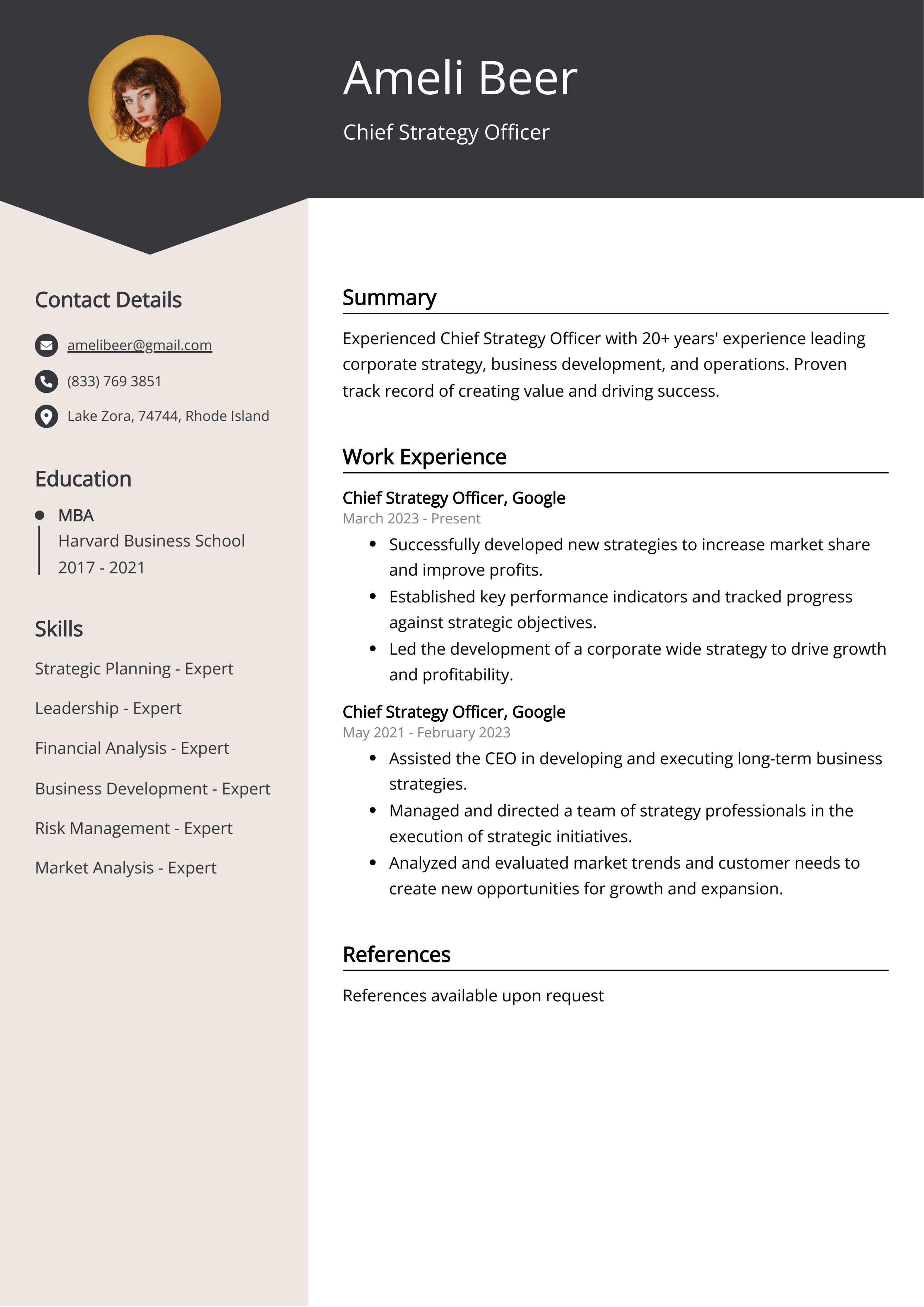 Chief Strategy Officer CV Example