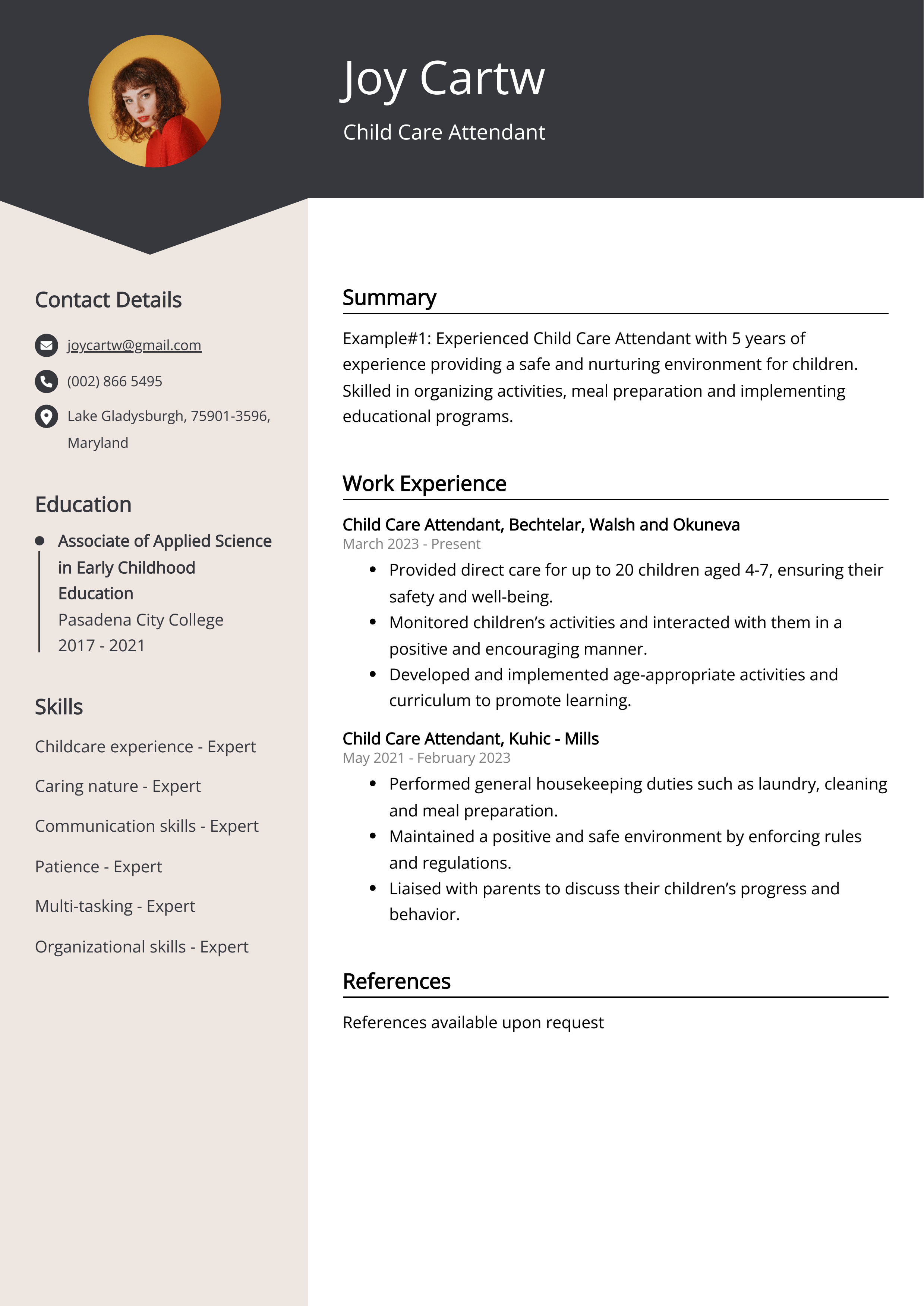 Child Care Attendant CV Example