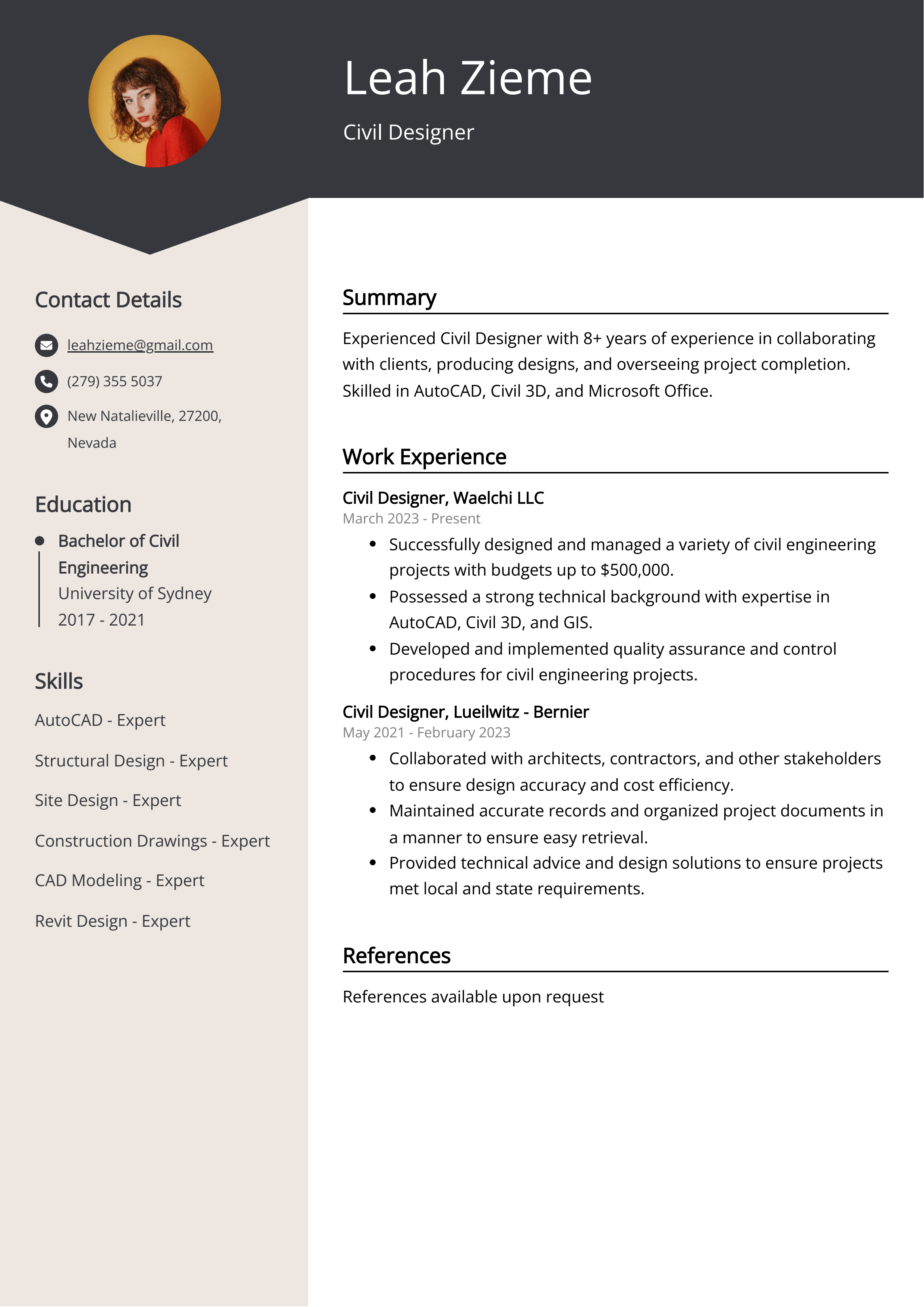 Civil Designer CV Example