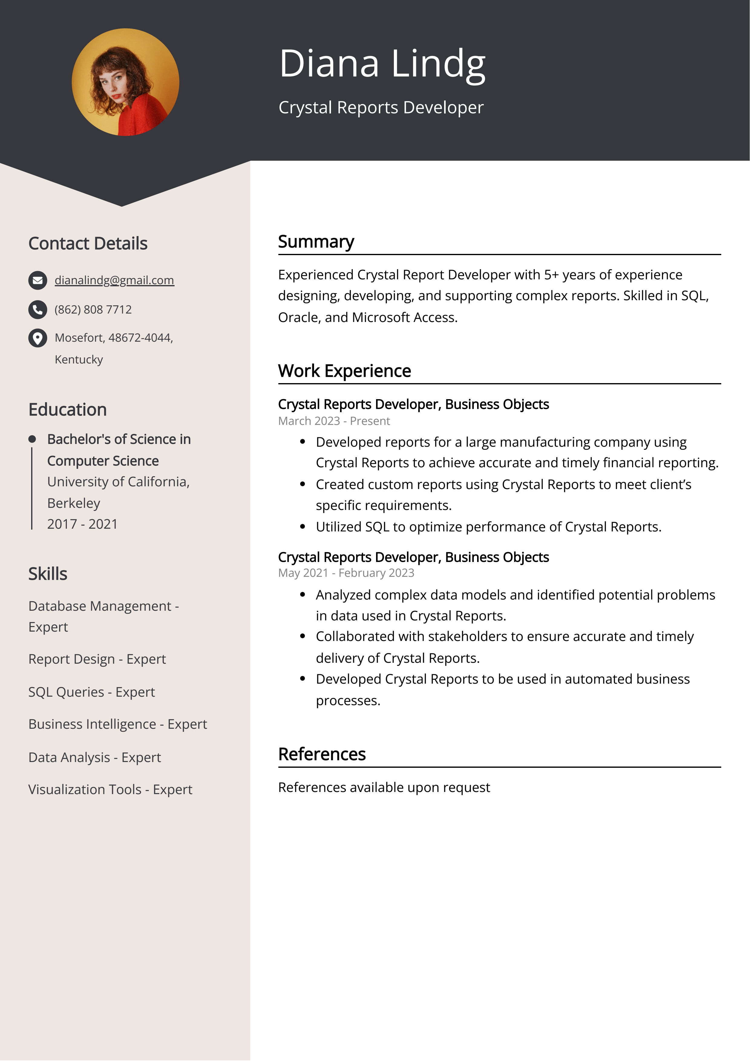 Crystal Reports Developer CV Example