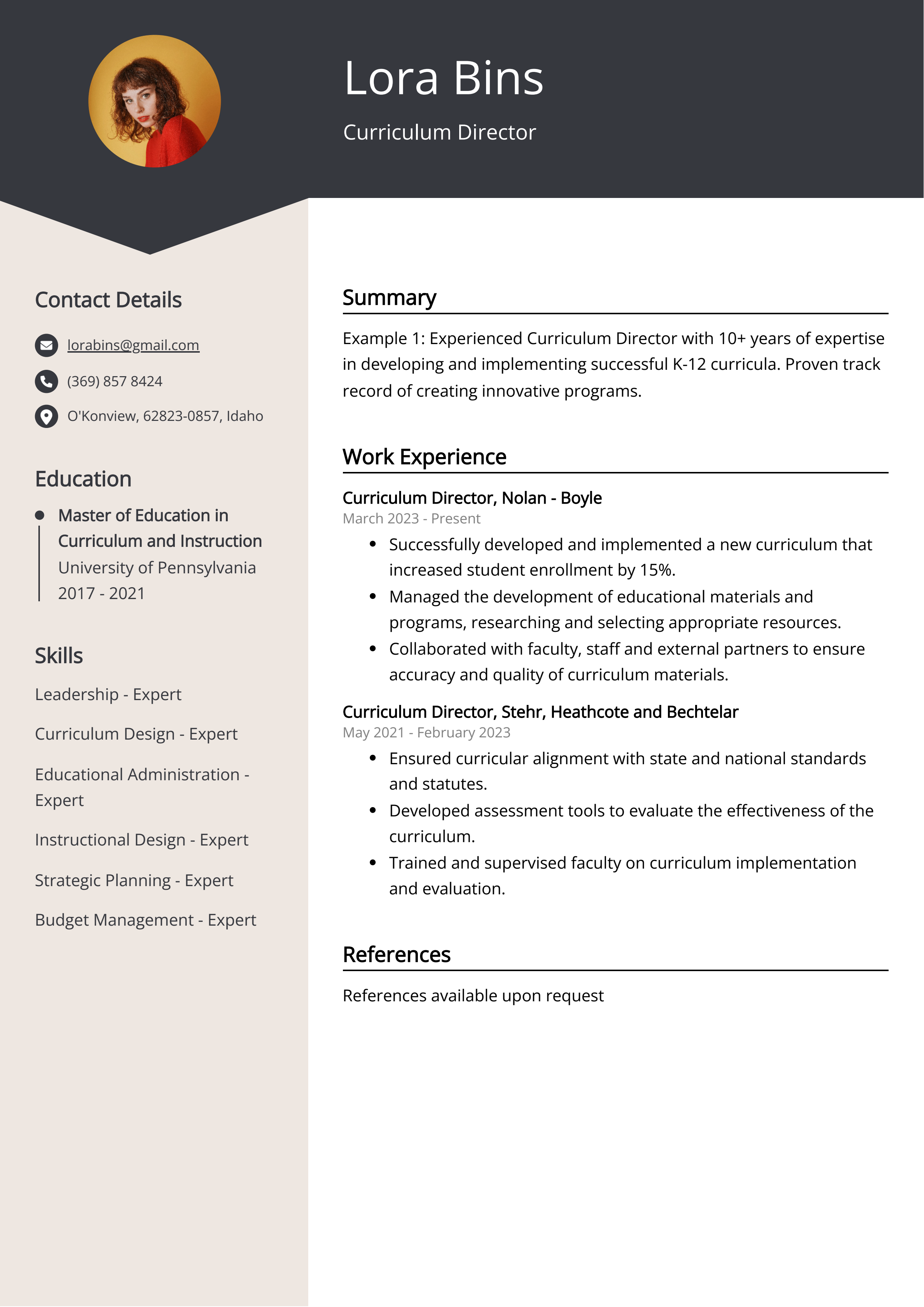 Curriculum Director CV Example