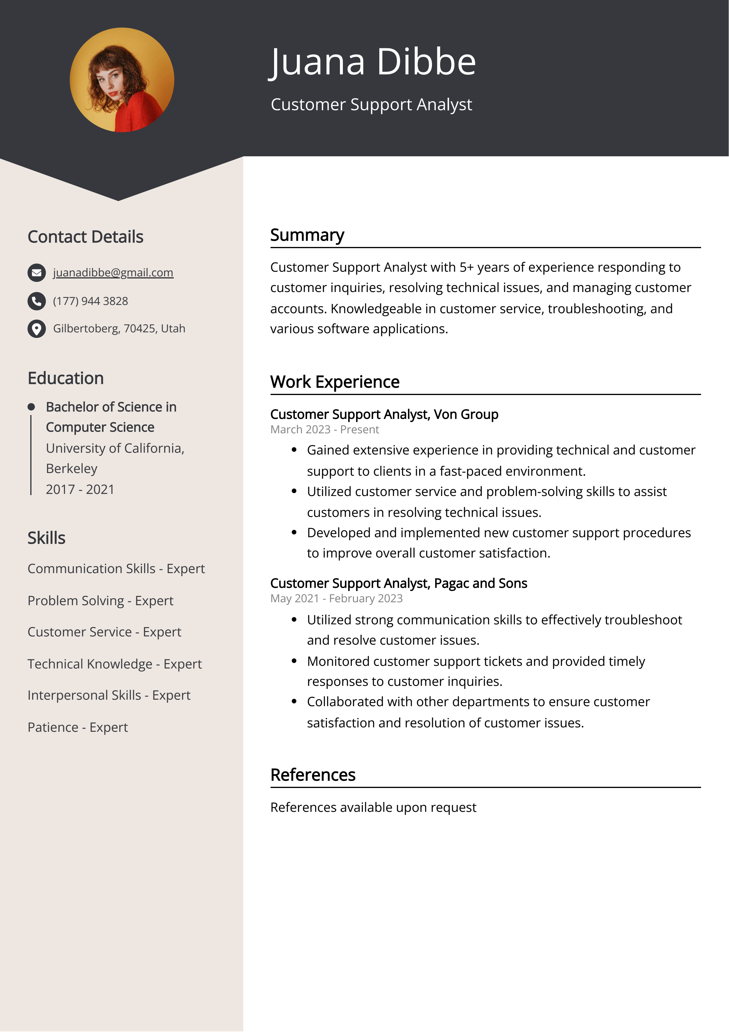 Customer Support Analyst CV Example