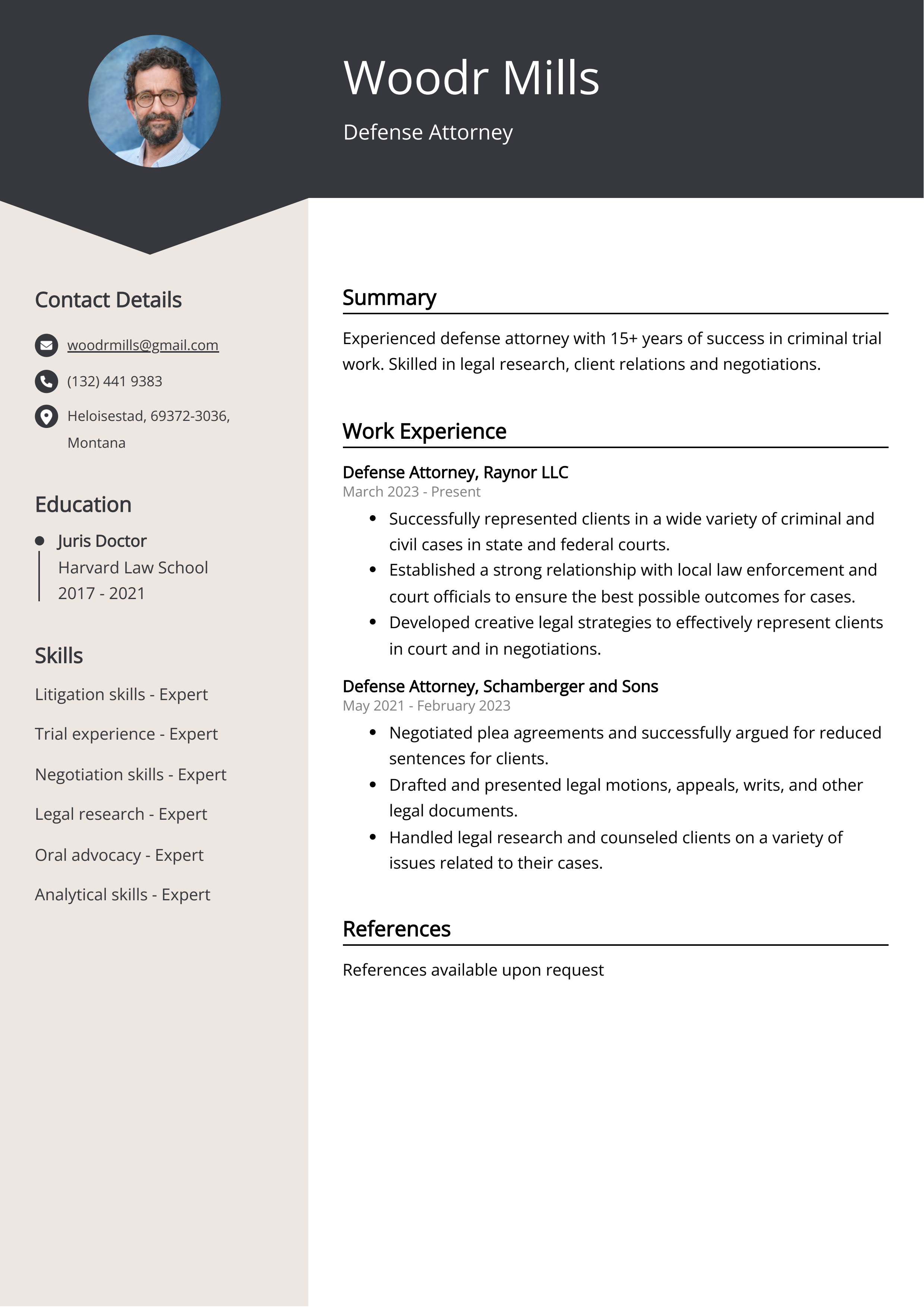 Defense Attorney CV Example