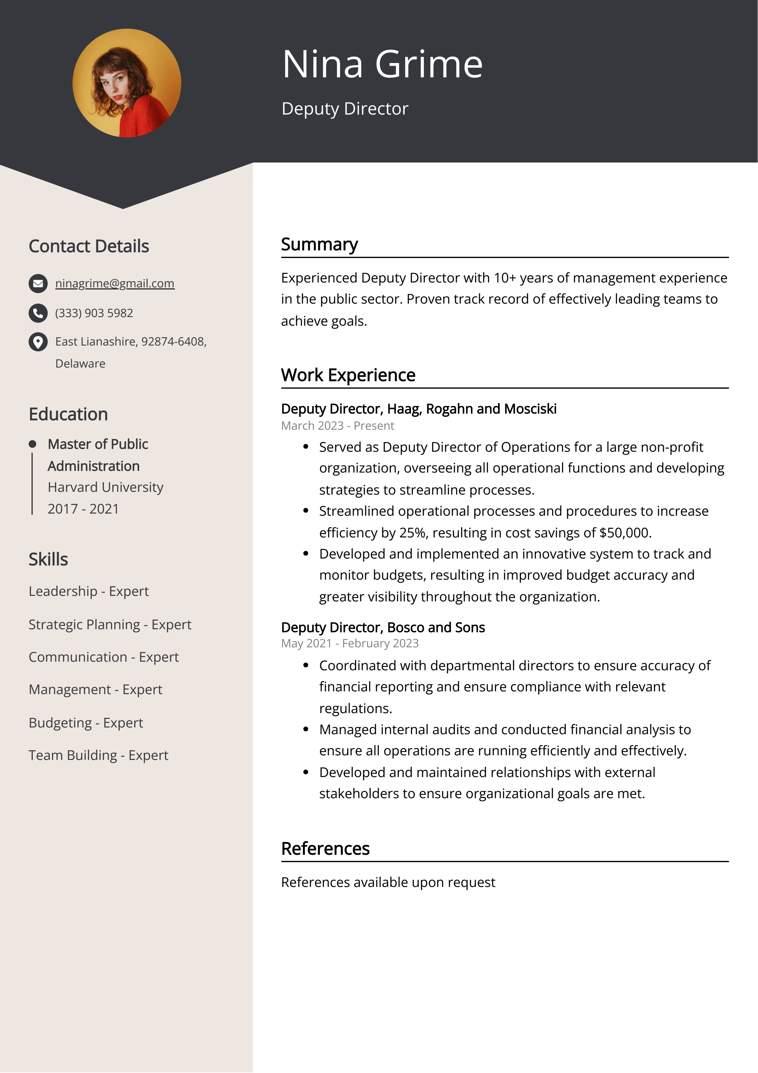 Deputy Director CV Example