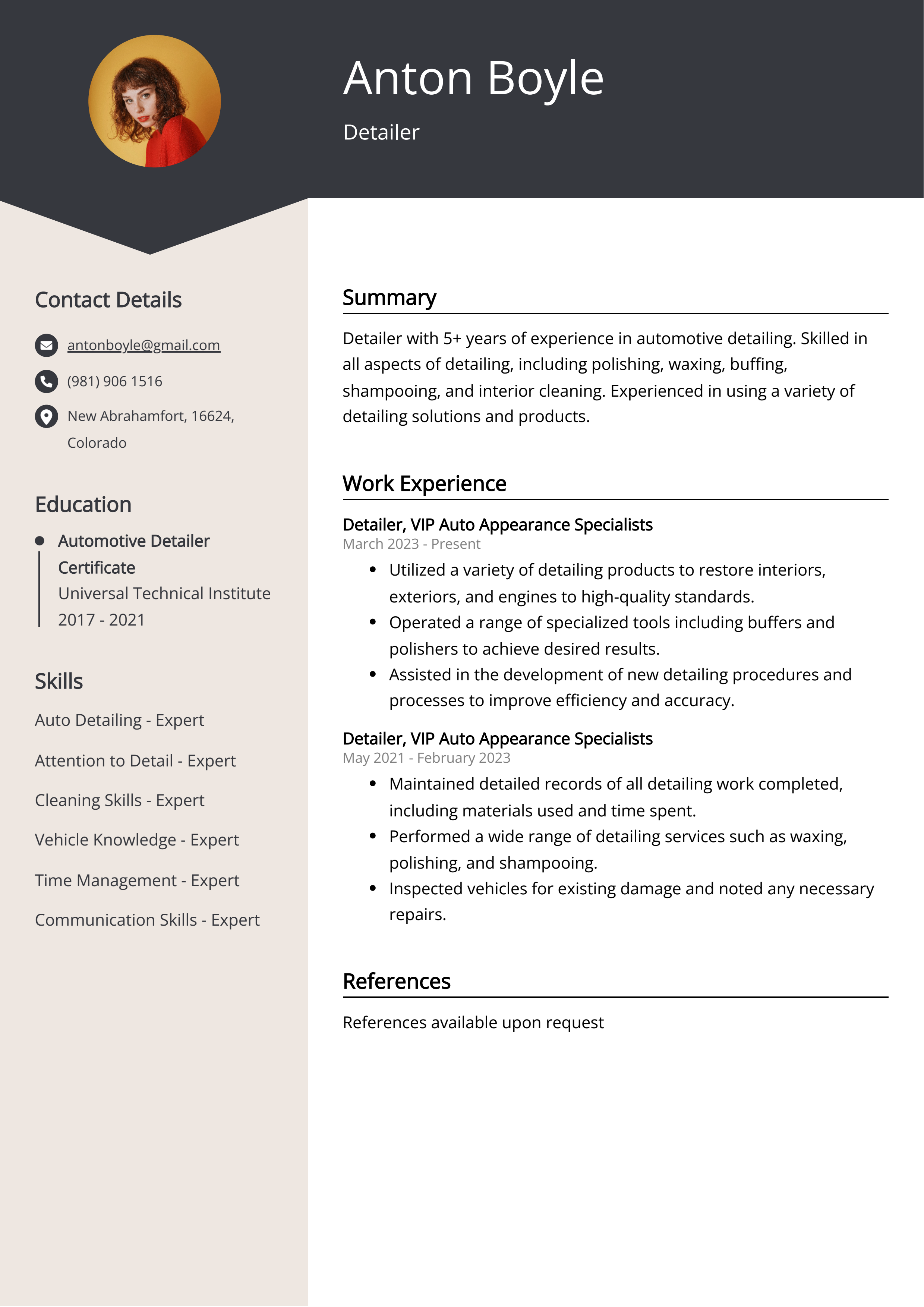 Detailer CV Example