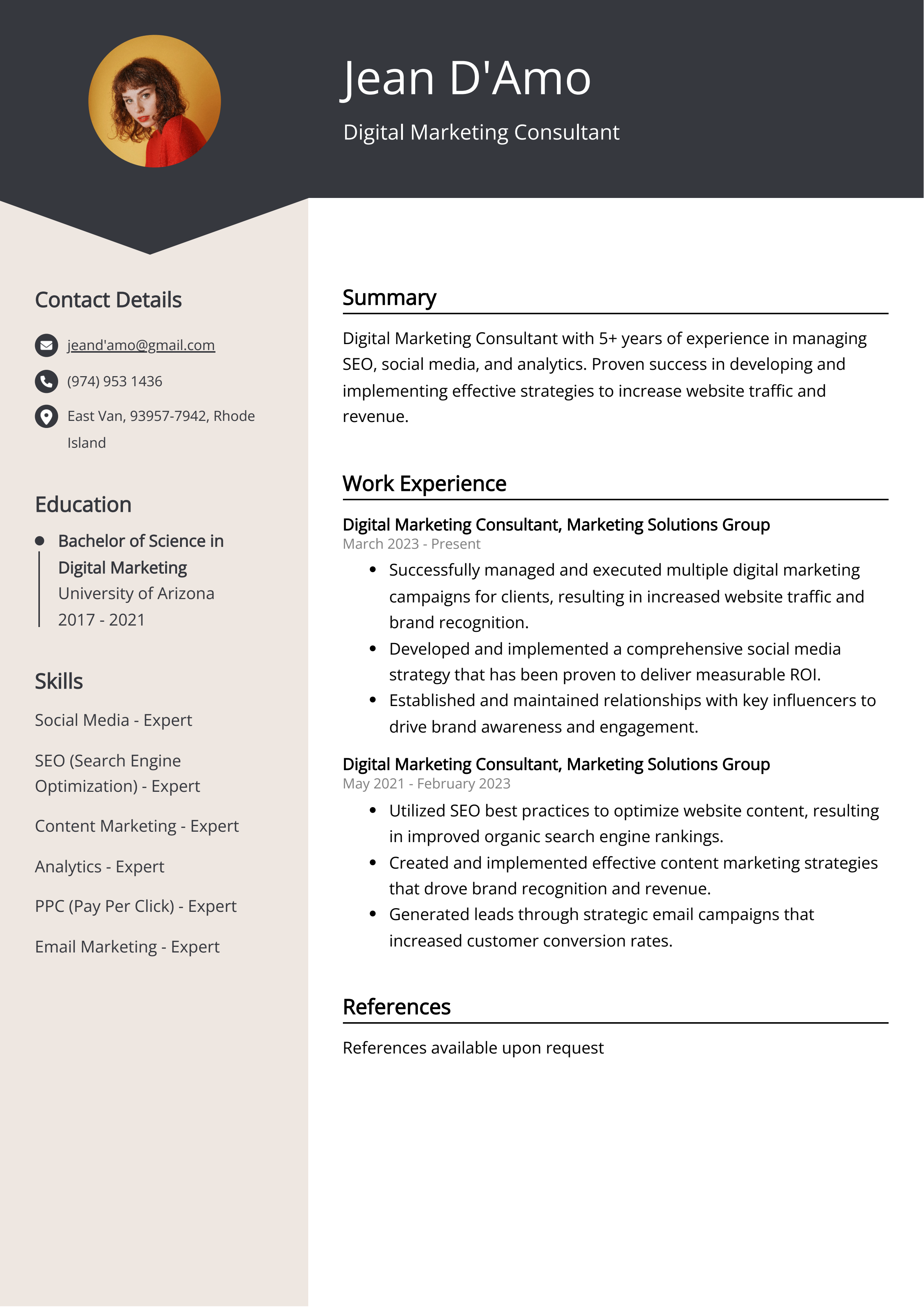 Digital Marketing Consultant CV Example
