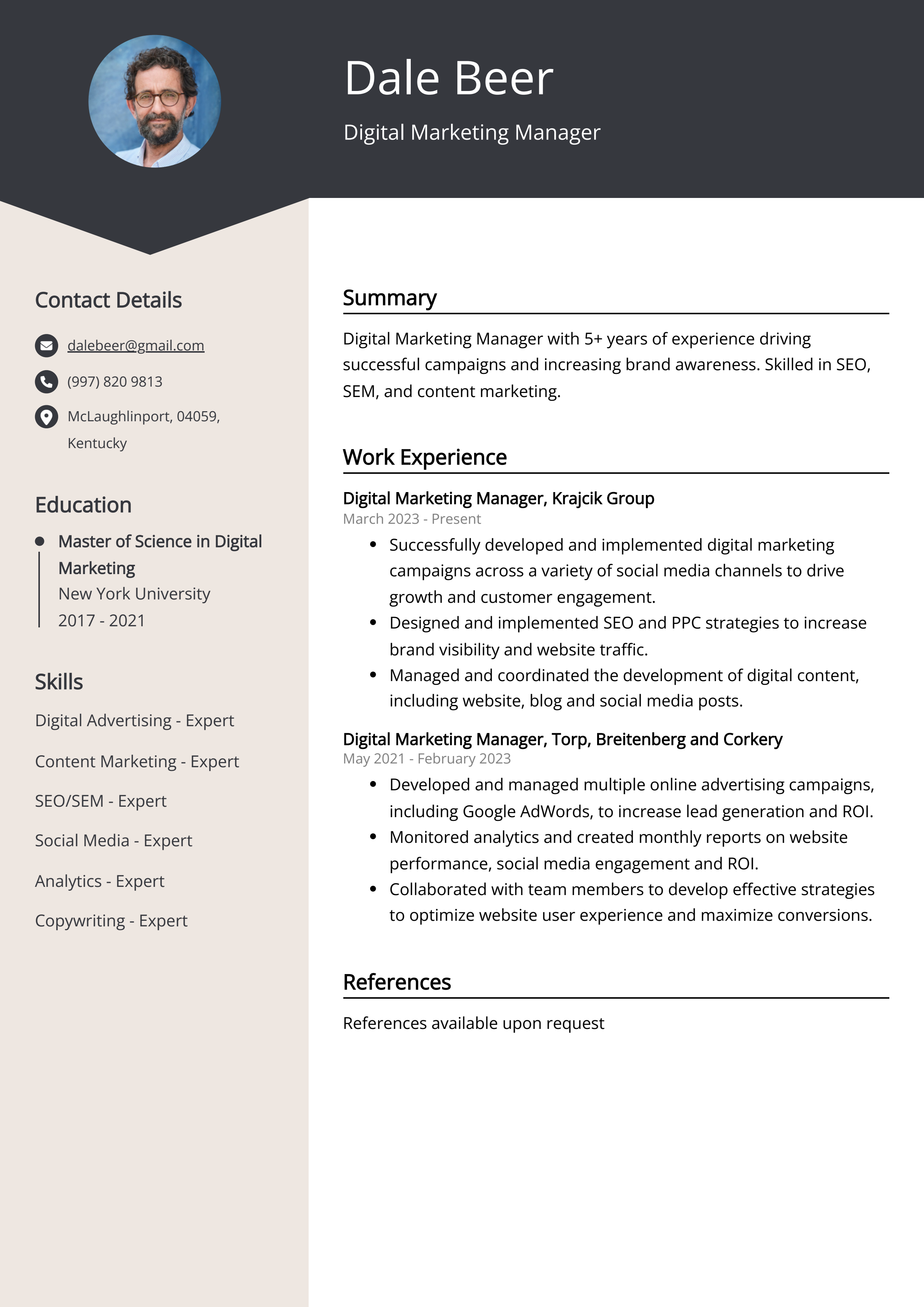Digital Marketing Manager CV Example