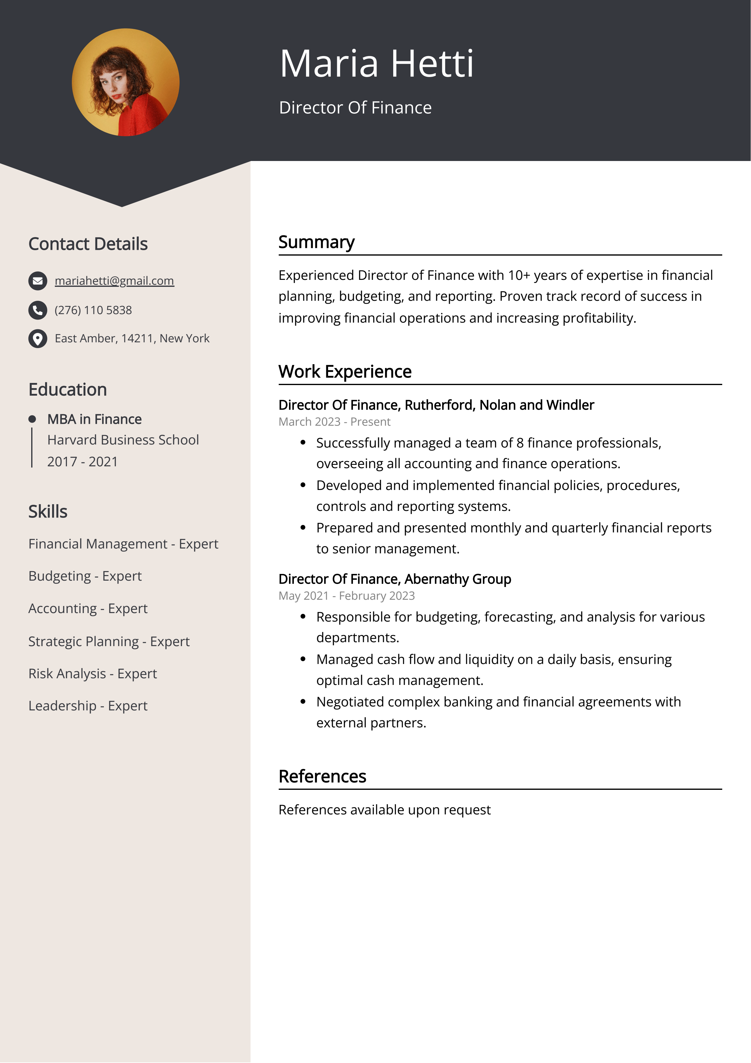 Director Of Finance CV Example