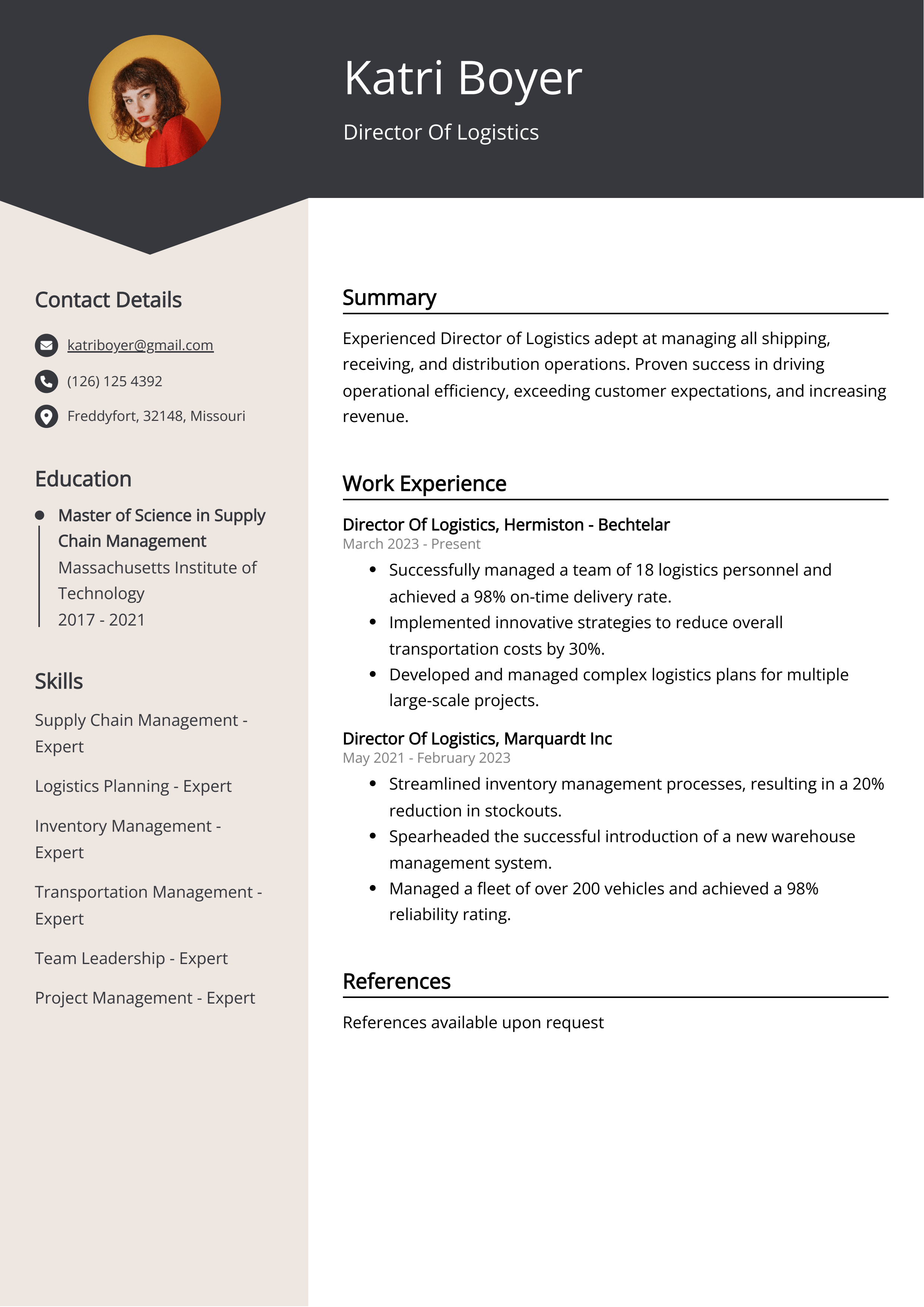 Director Of Logistics CV Example