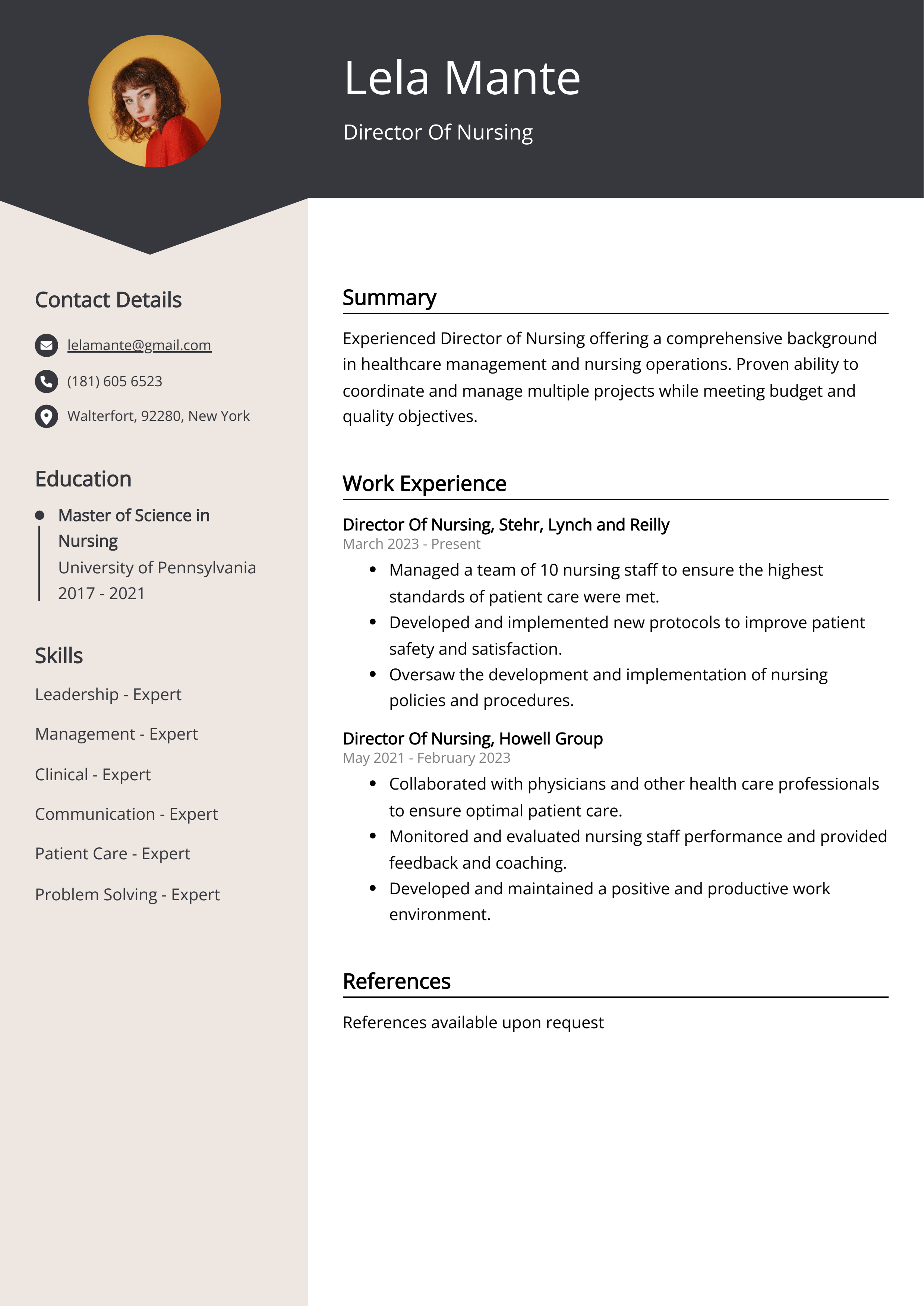 Director Of Nursing CV Example