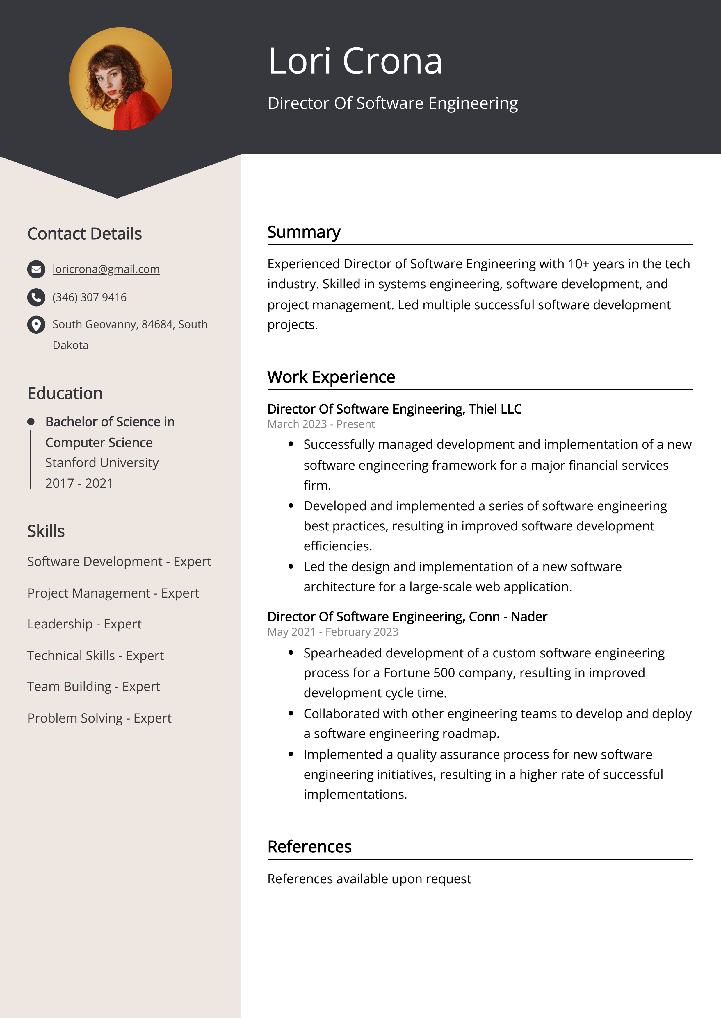 Director Of Software Engineering CV Example