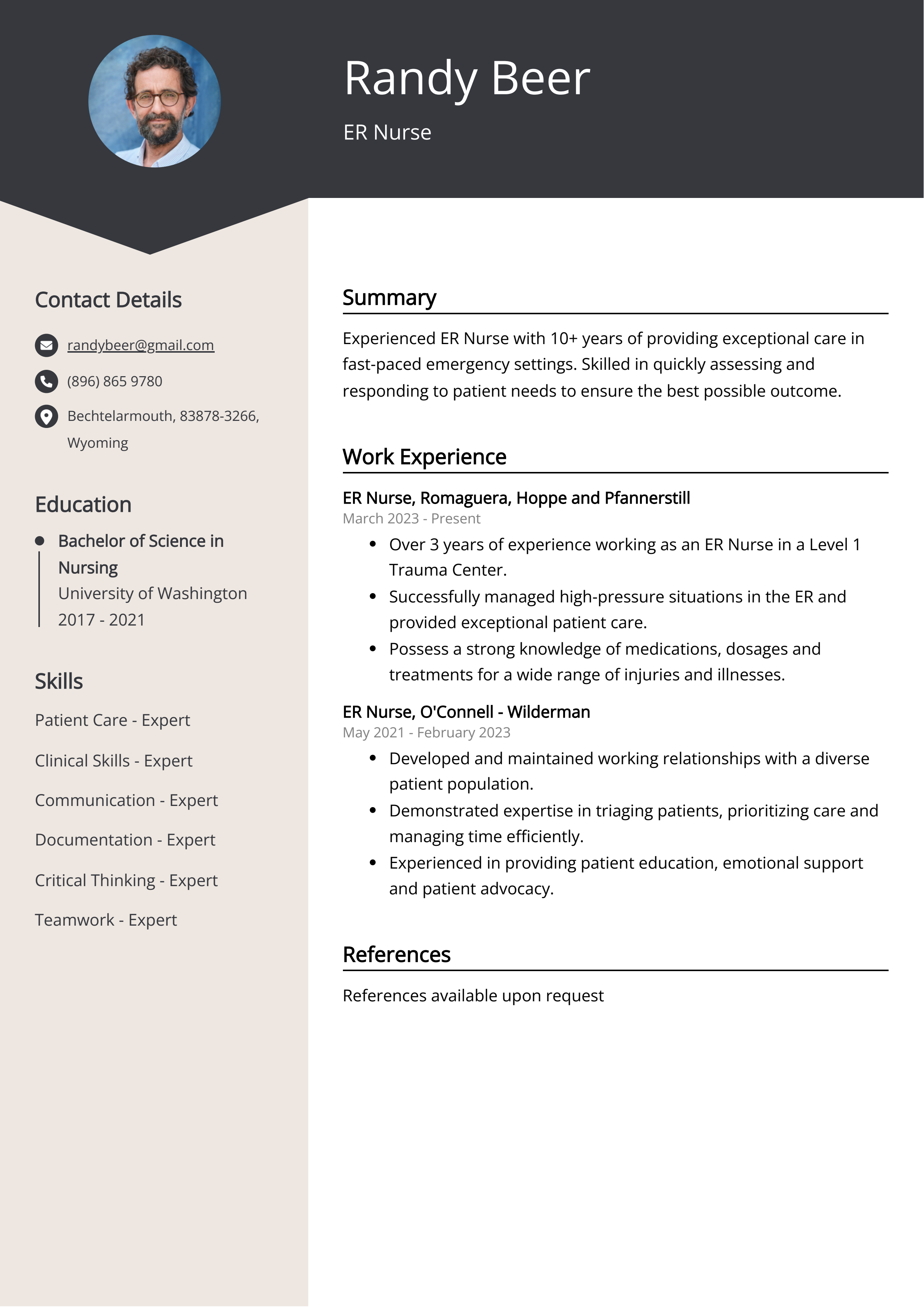 ER Nurse CV Example