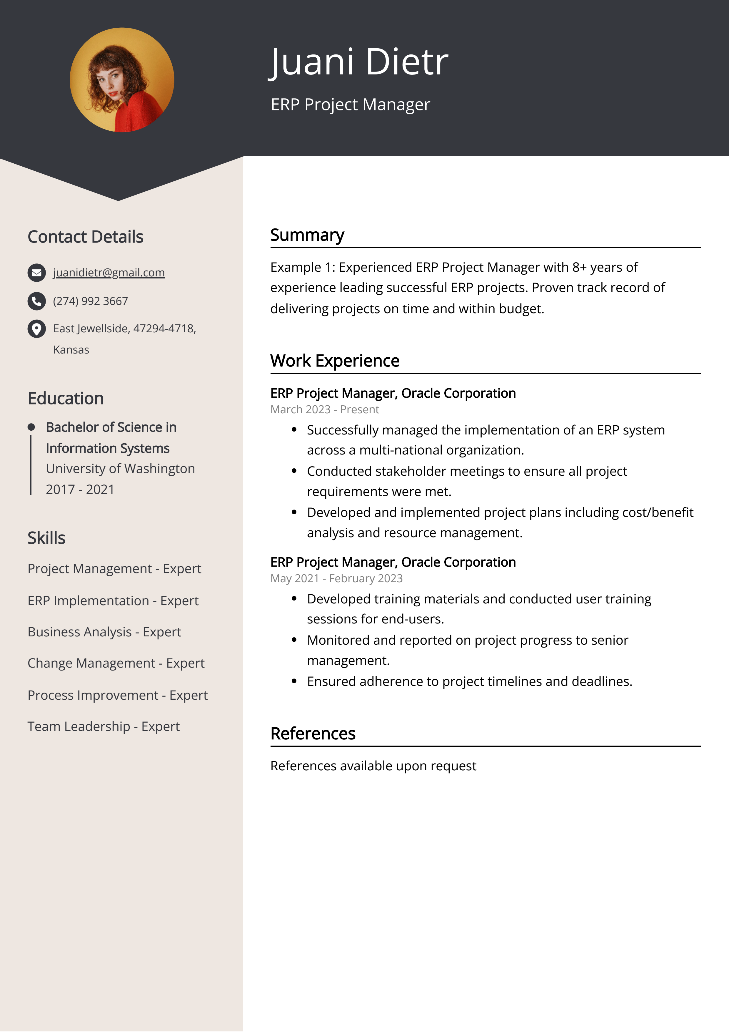 ERP Project Manager CV Example