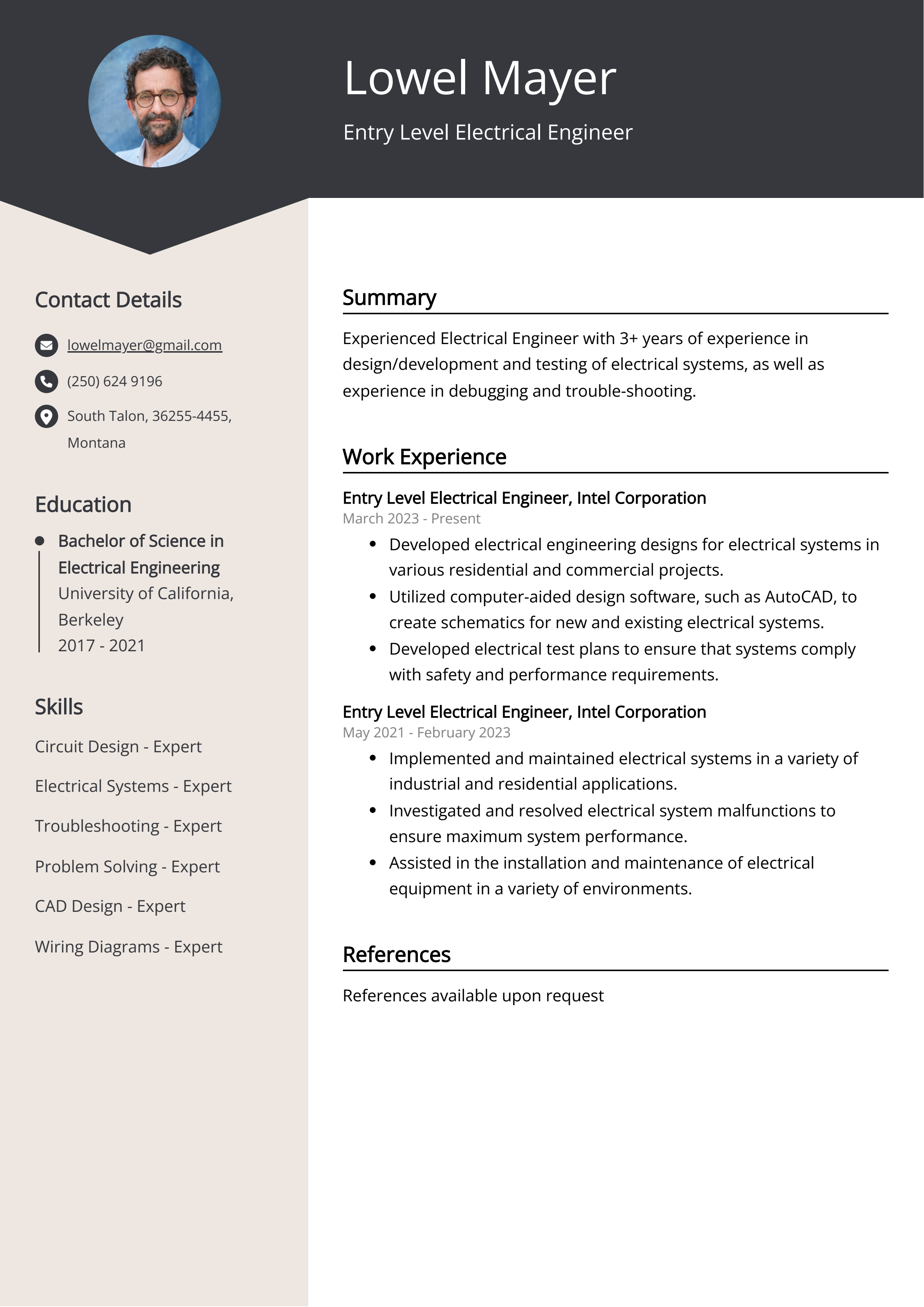 Entry Level Electrical Engineer CV Example