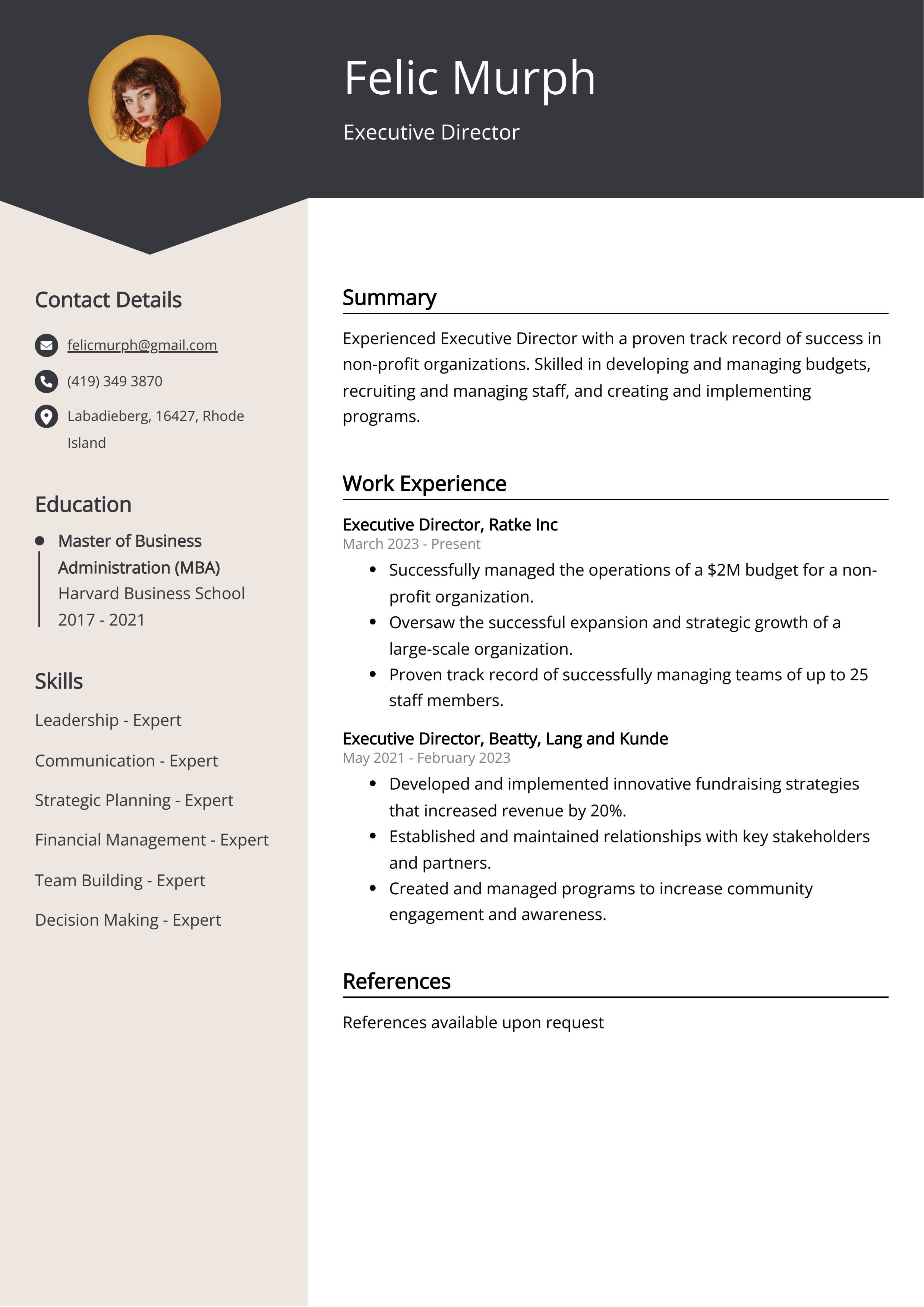 Executive Director CV Example