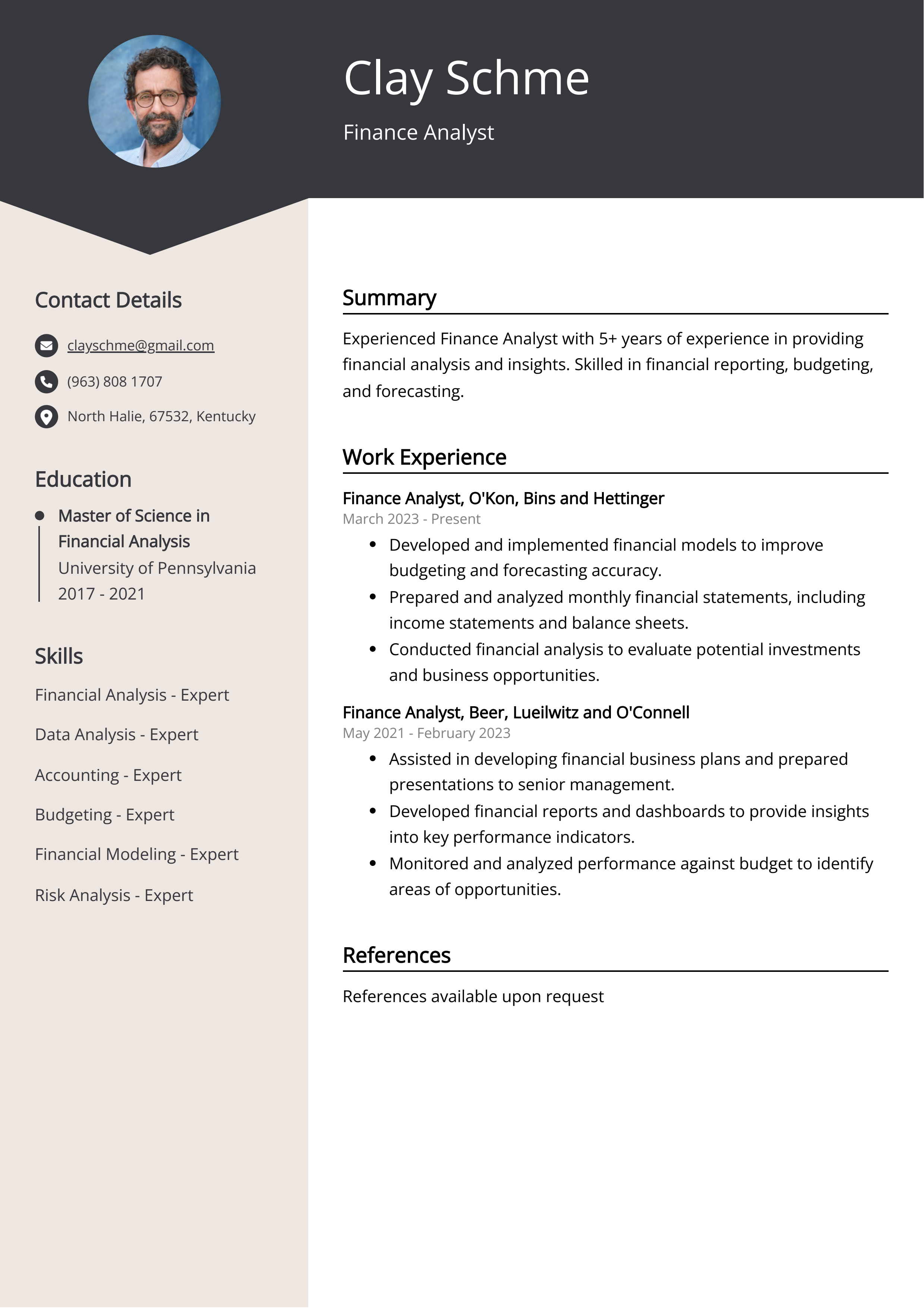 Finance Analyst CV Example