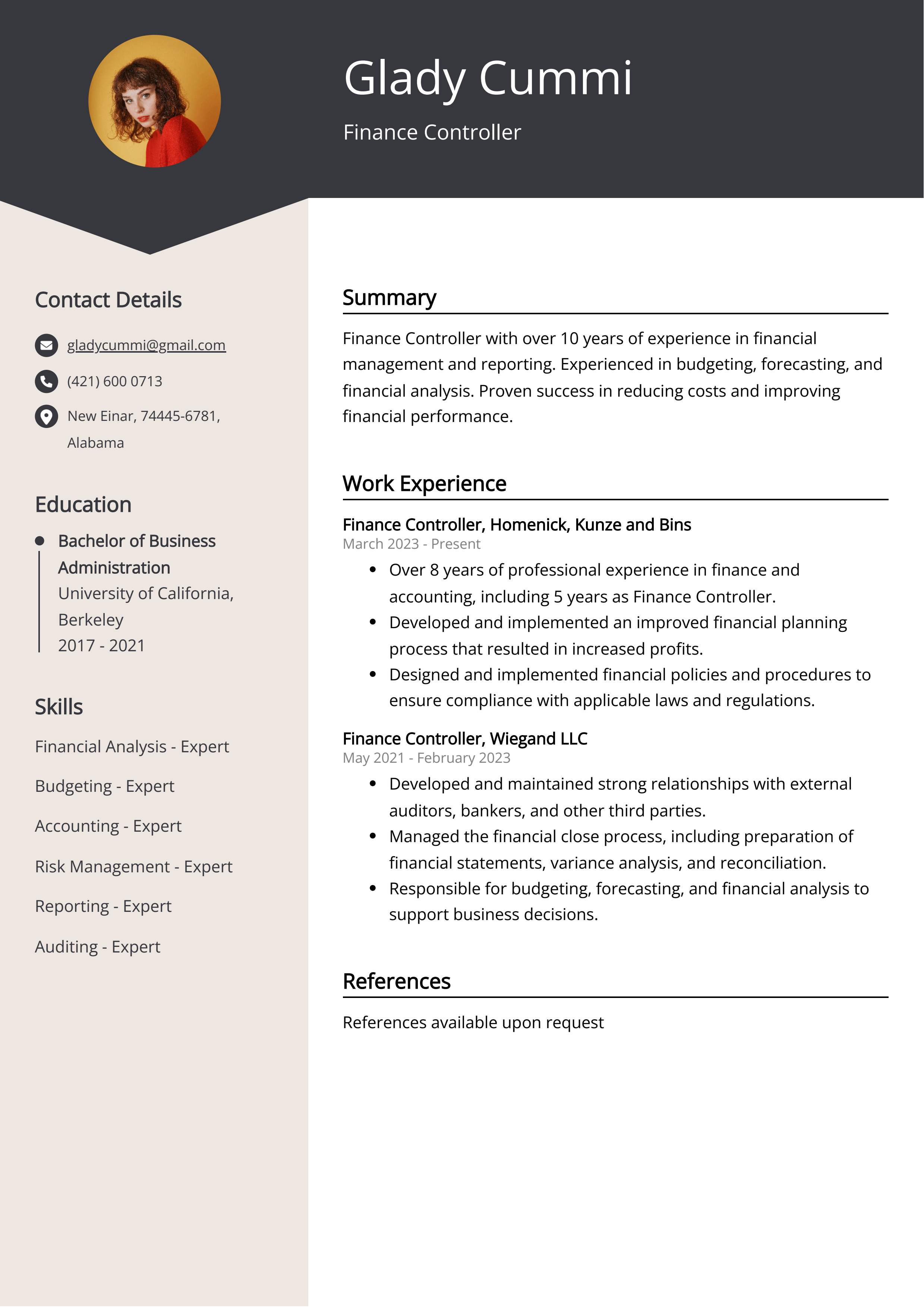 Finance Controller CV Example