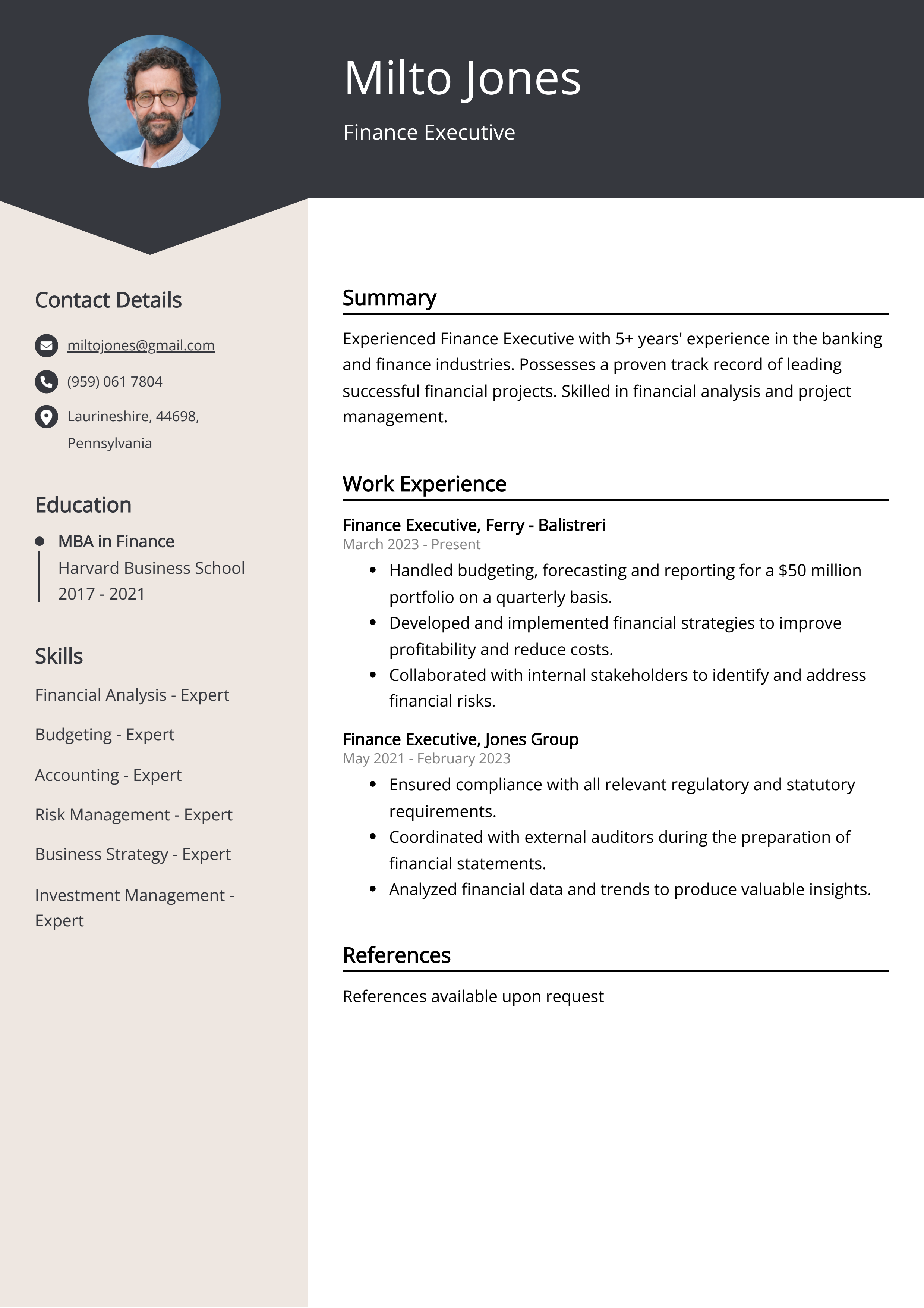 Finance Executive CV Example