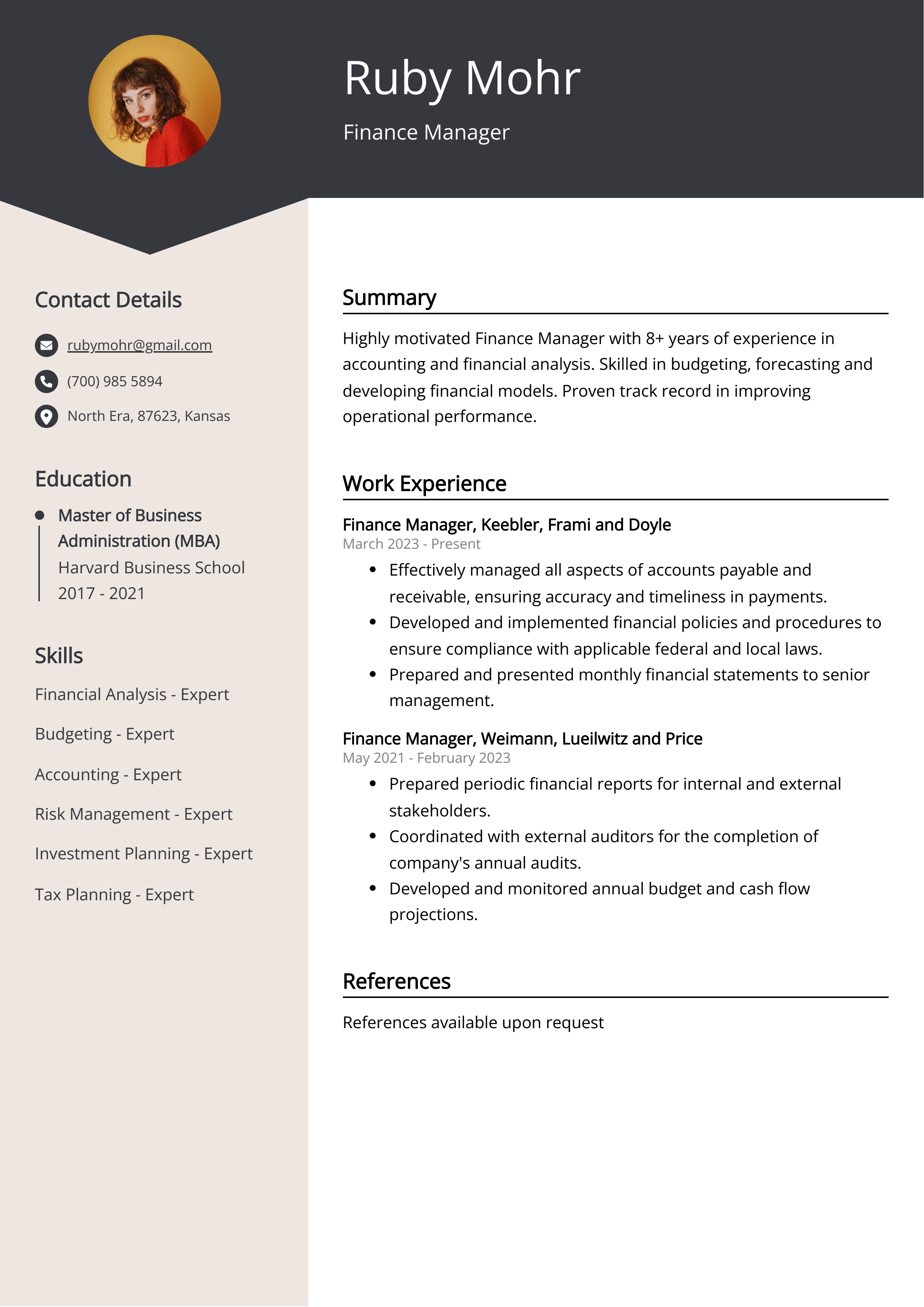 Finance Manager CV Example