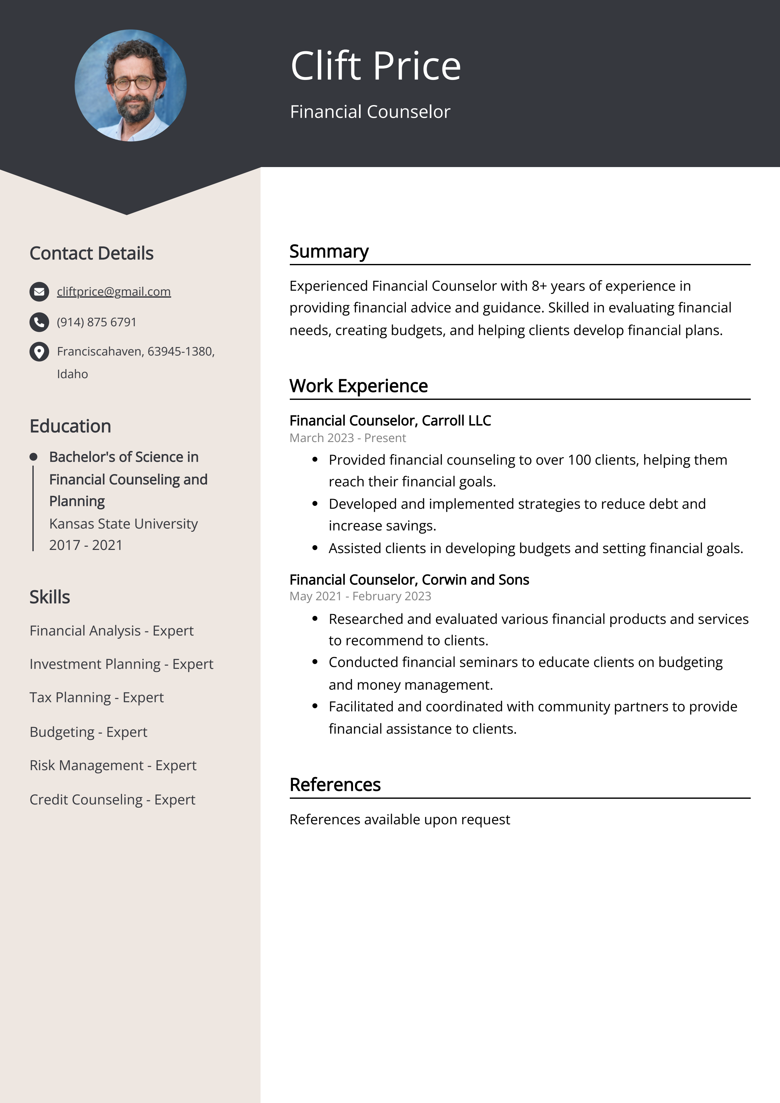 Financial Counselor CV Example
