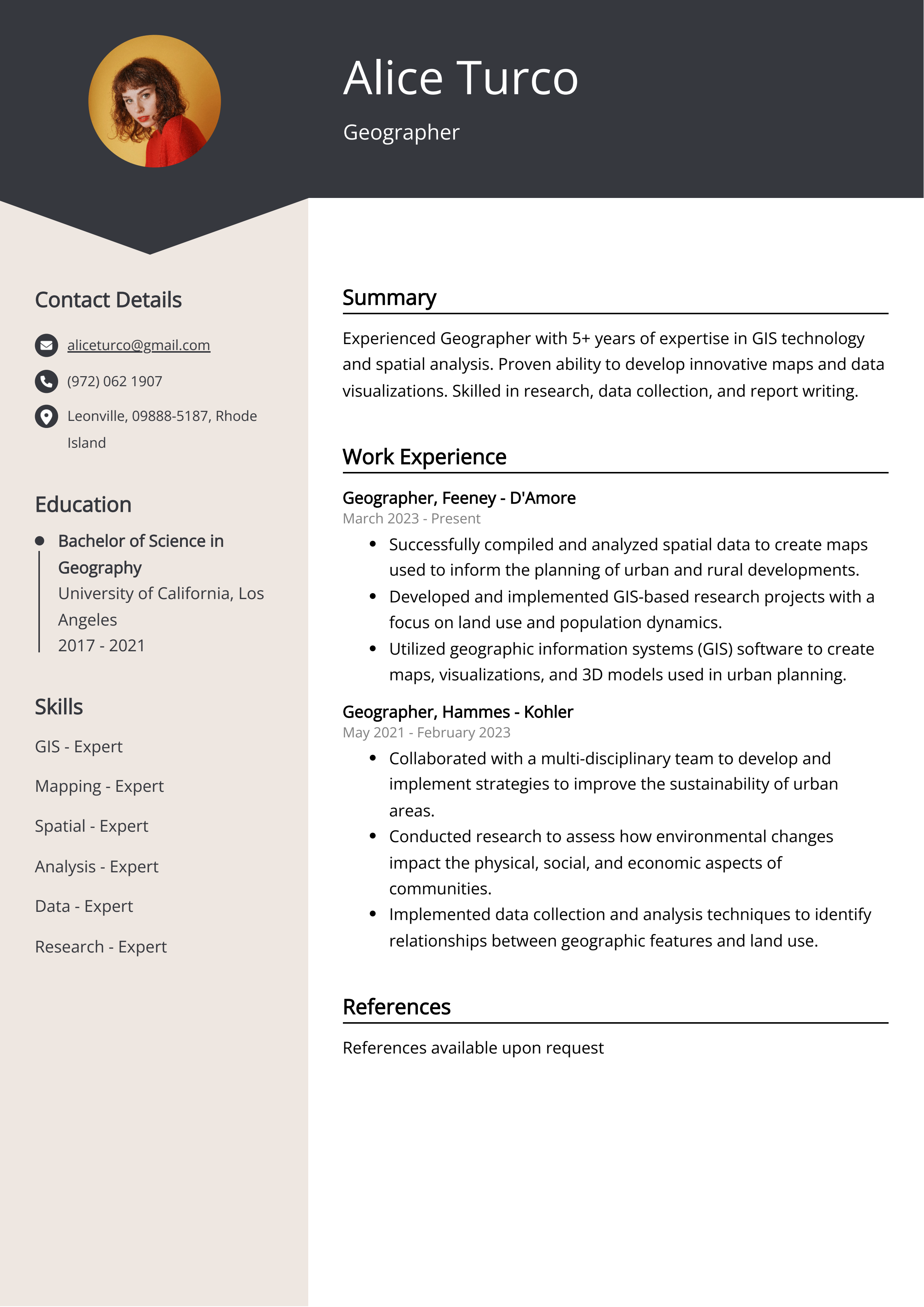 Geographer CV Example