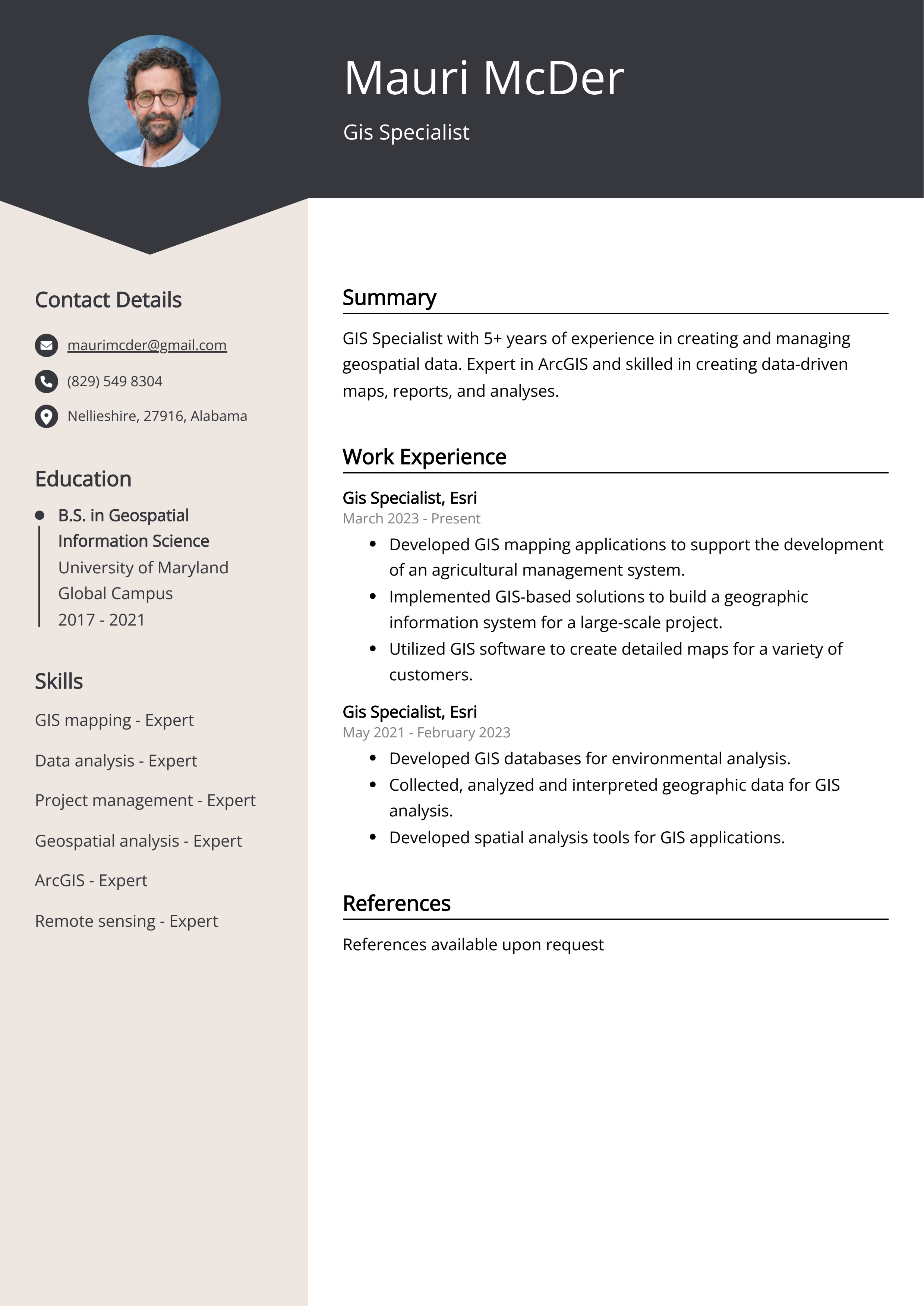 Gis Specialist CV Example