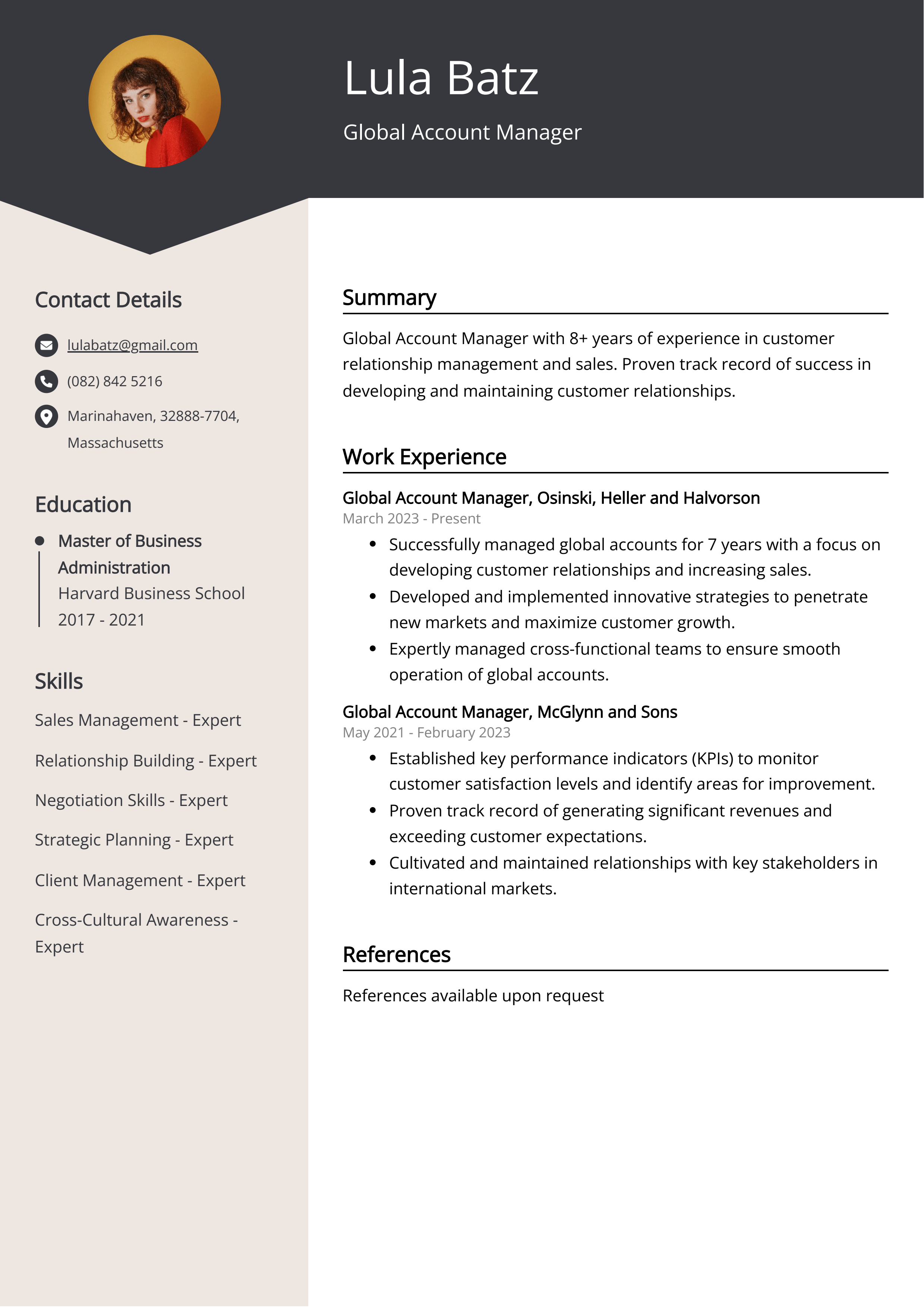Global Account Manager CV Example