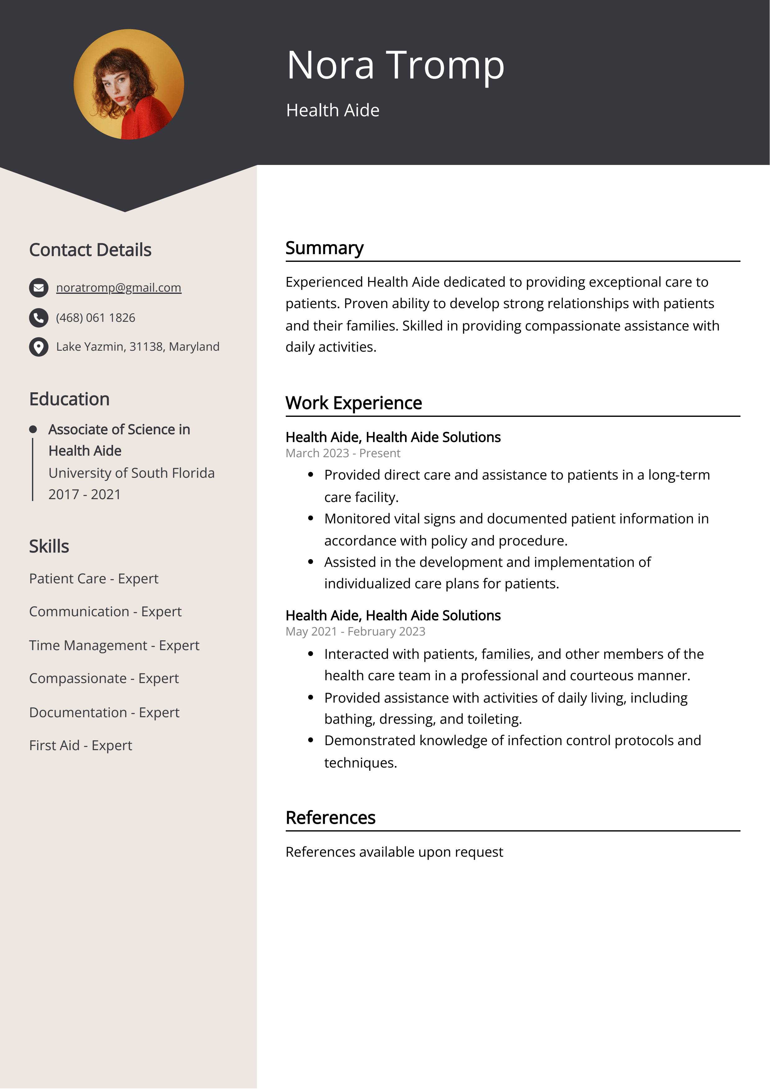 Health Aide CV Example