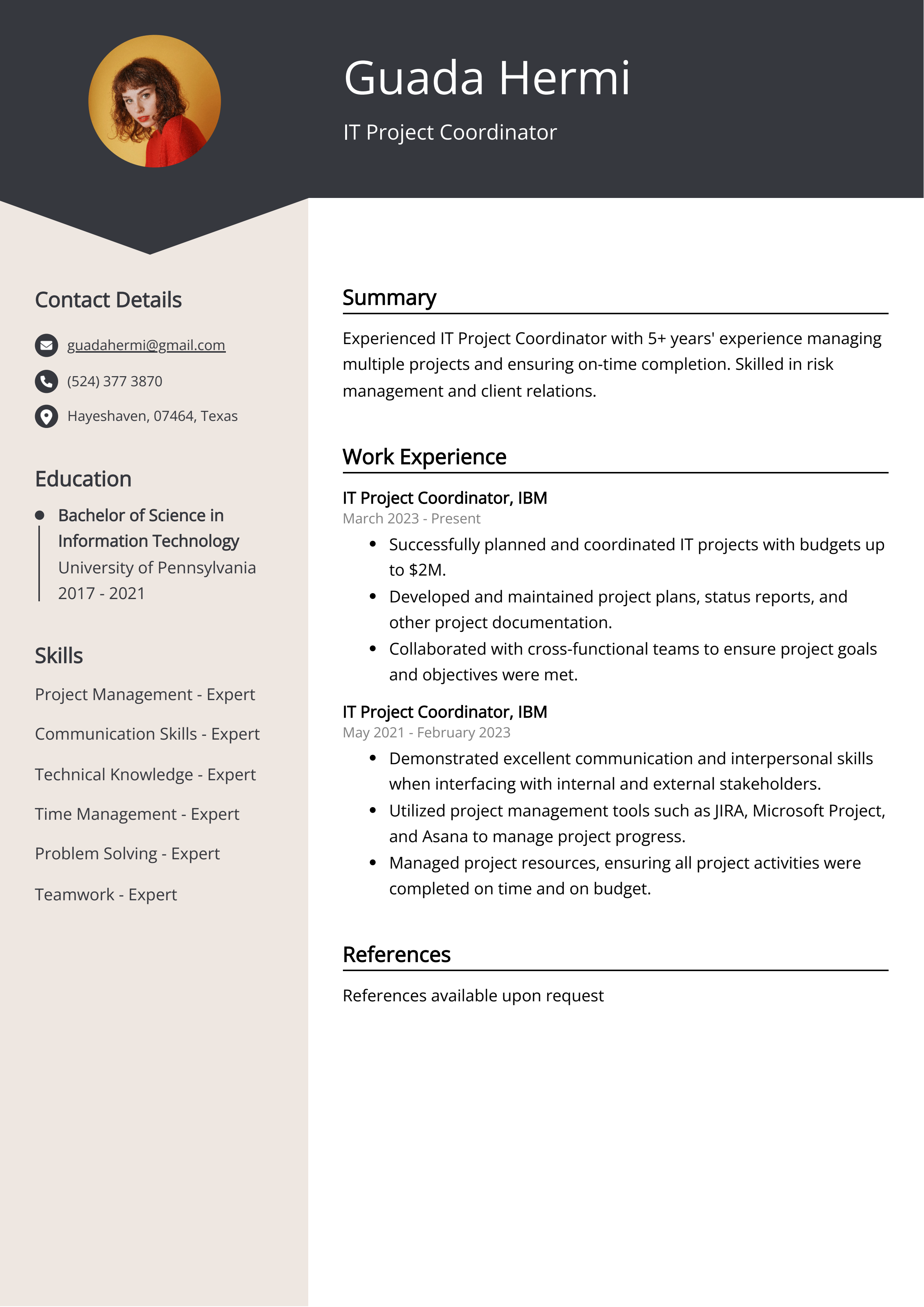 IT Project Coordinator CV Example