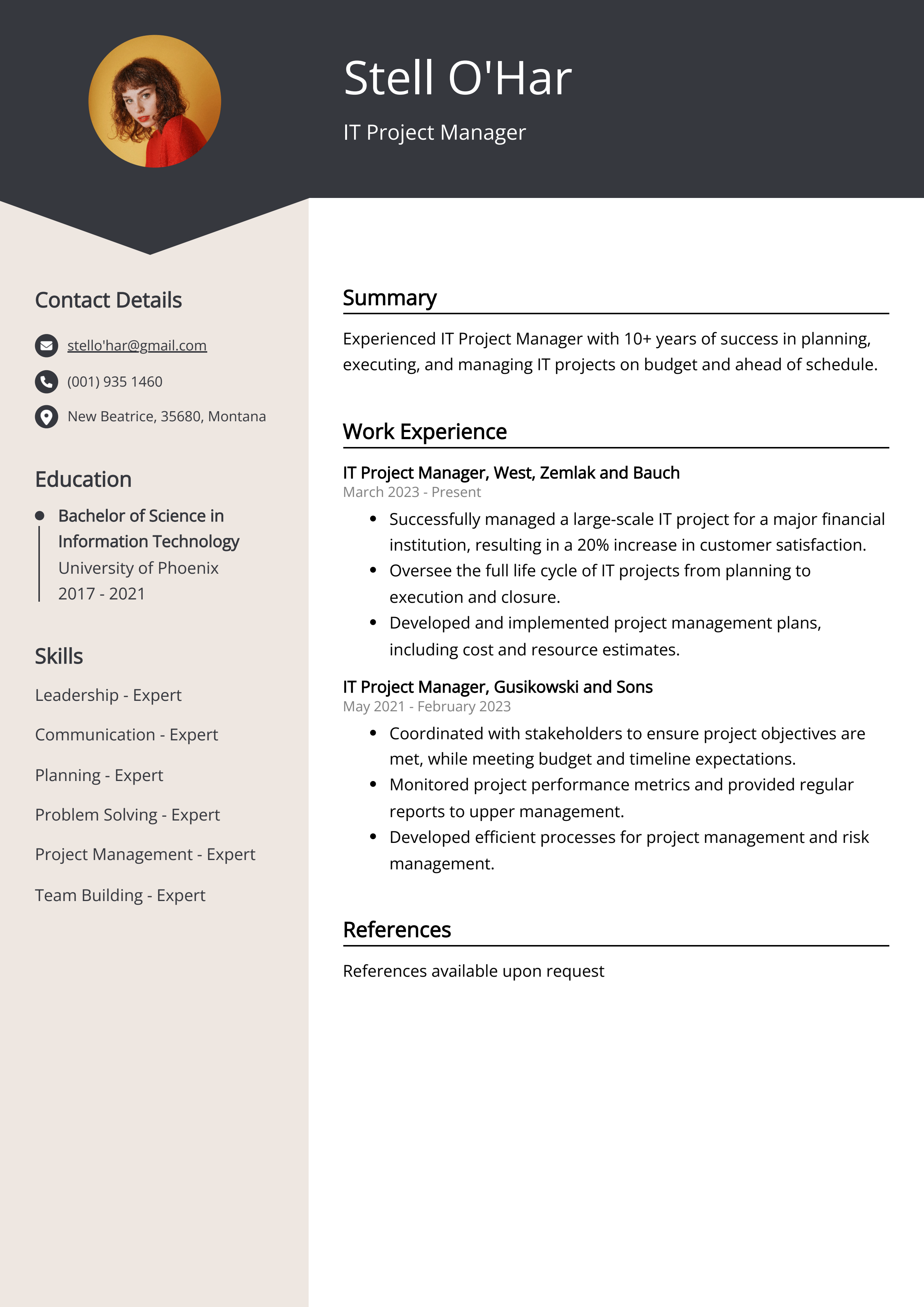 IT Project Manager CV Example