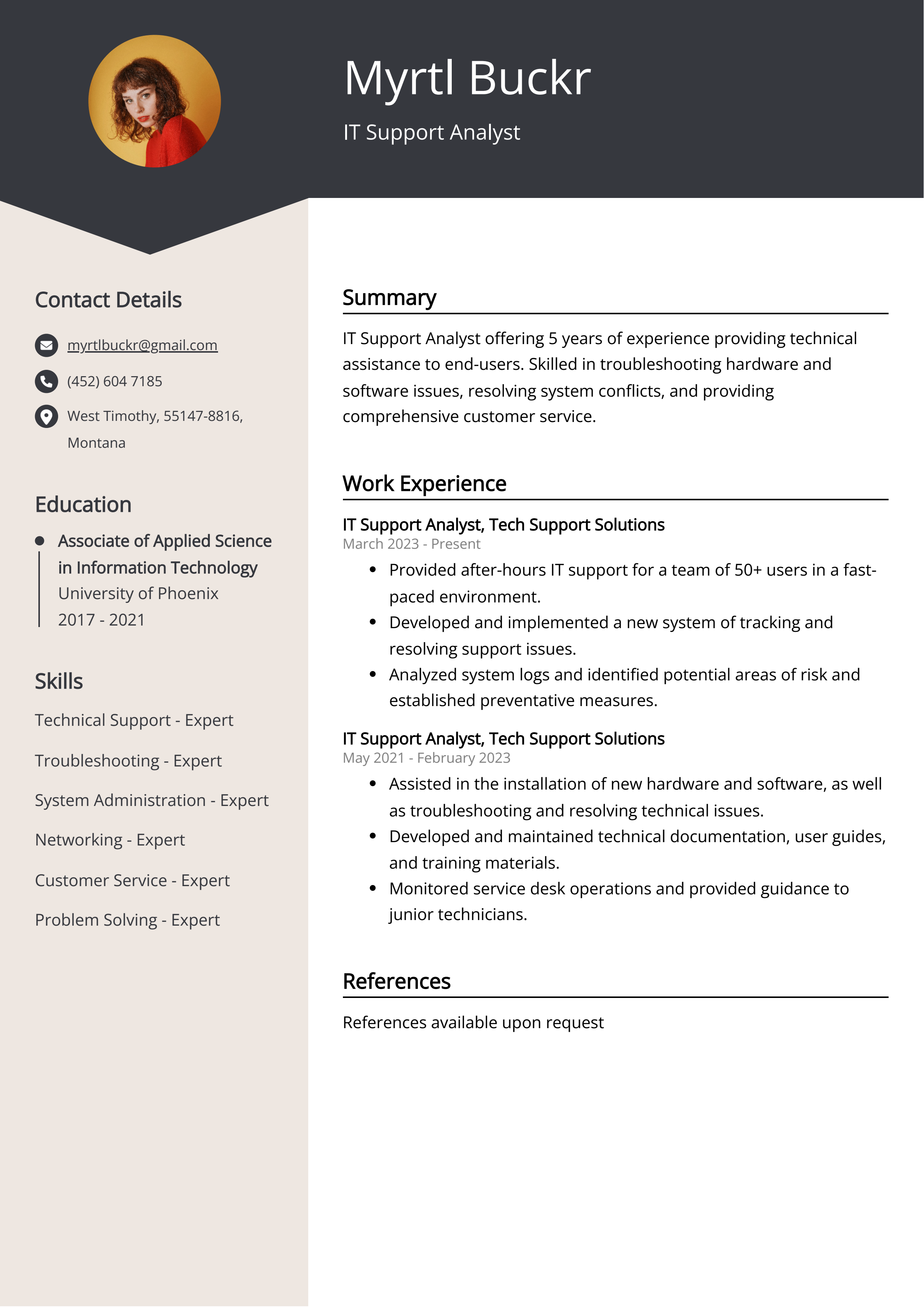 IT Support Analyst CV Example