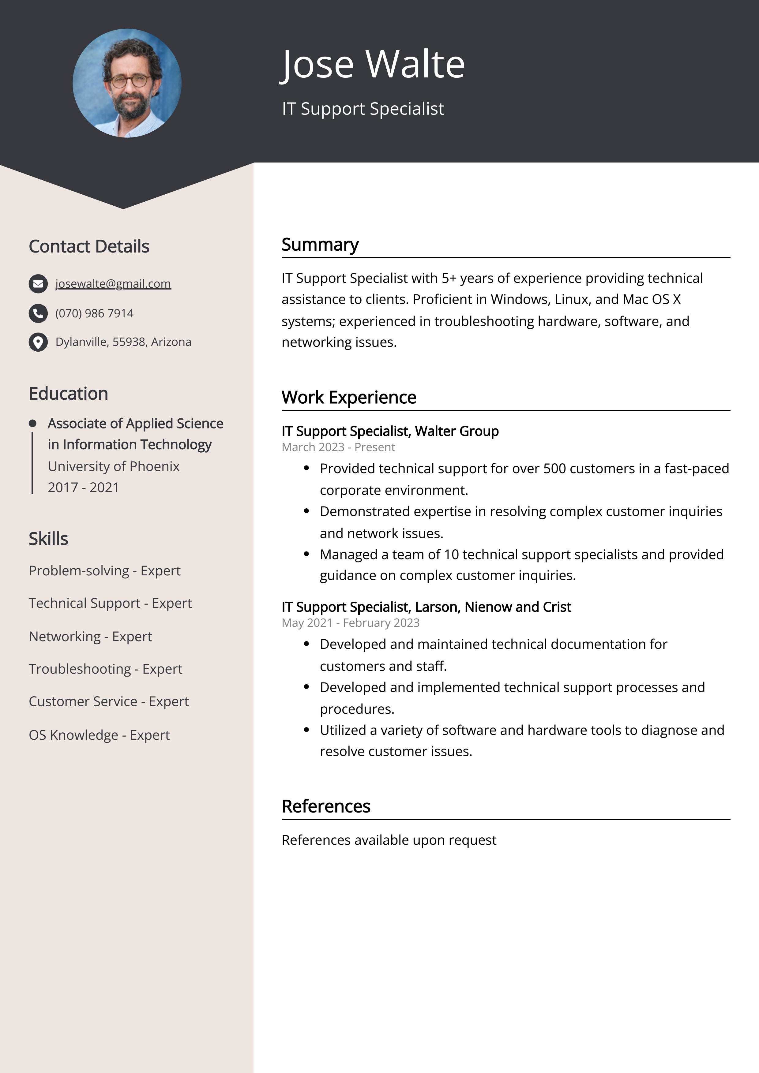 IT Support Specialist CV Example