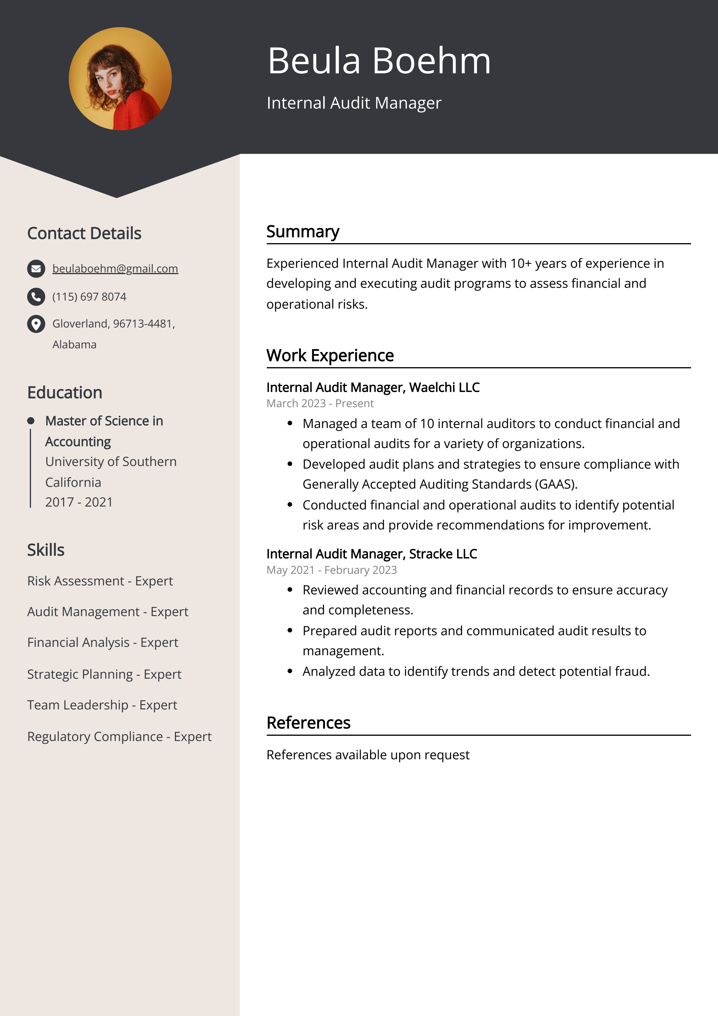 Internal Audit Manager CV Example